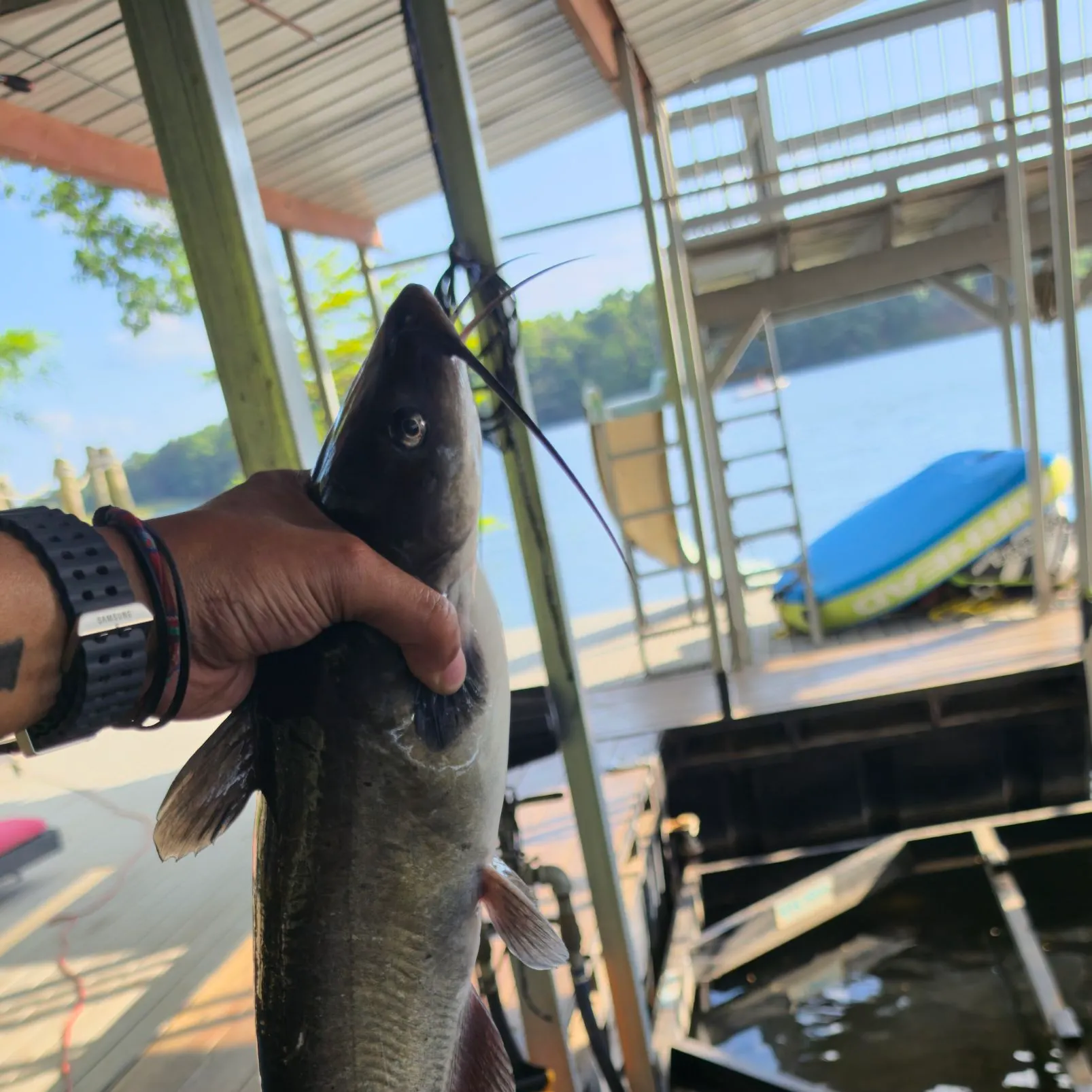 catch