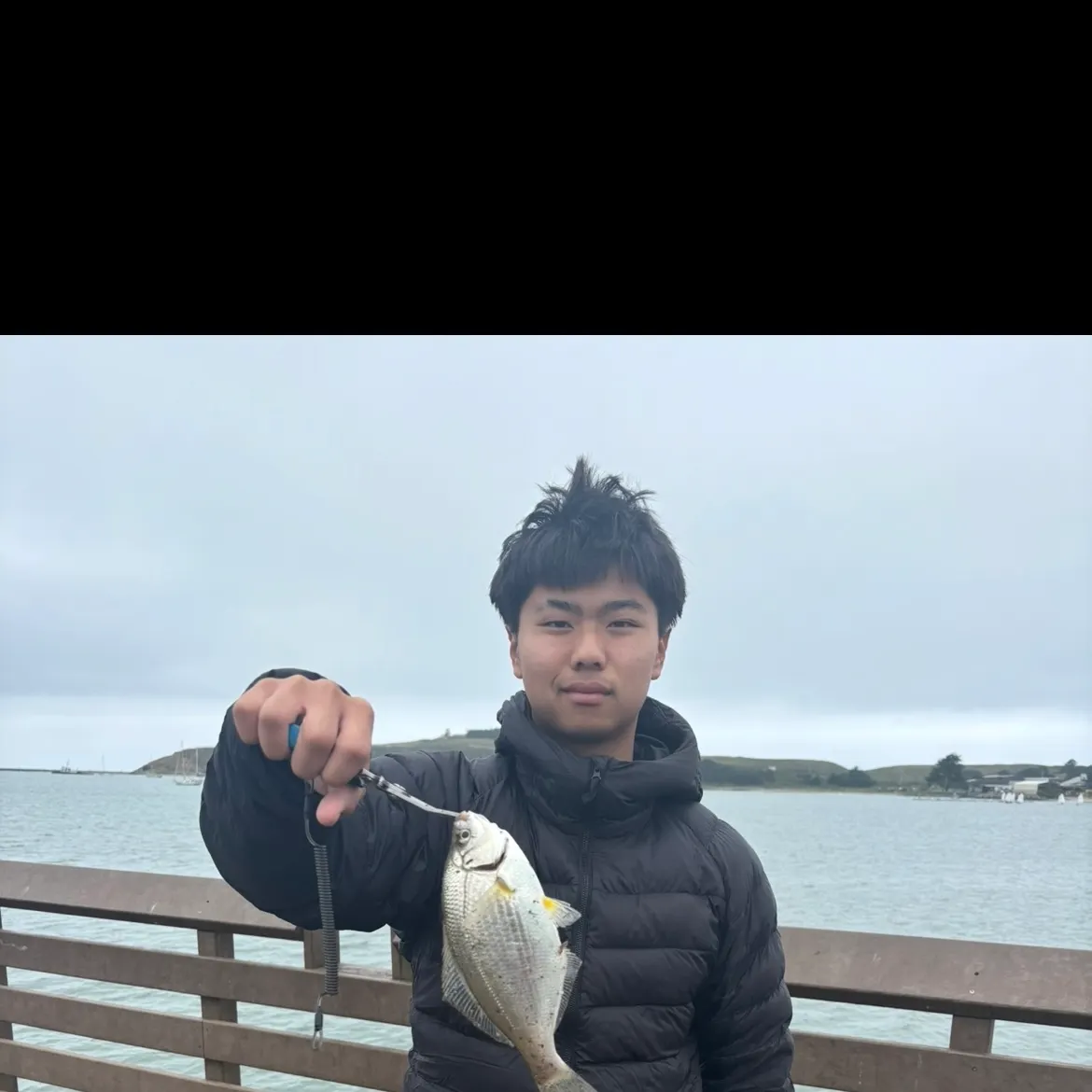The most recent Pile perch catches on Fishbrain