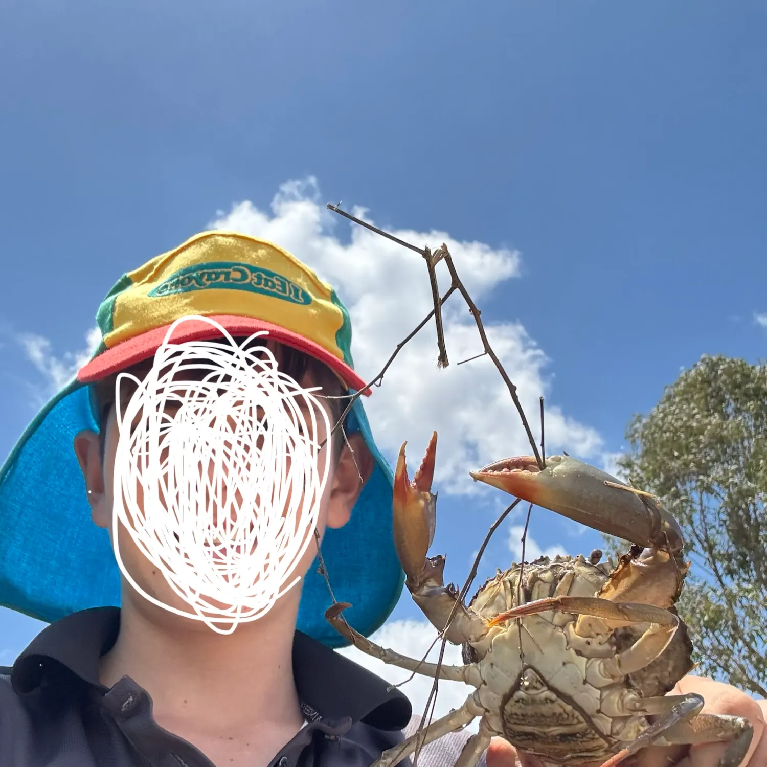 Giant mud crab caught on Fishbrain