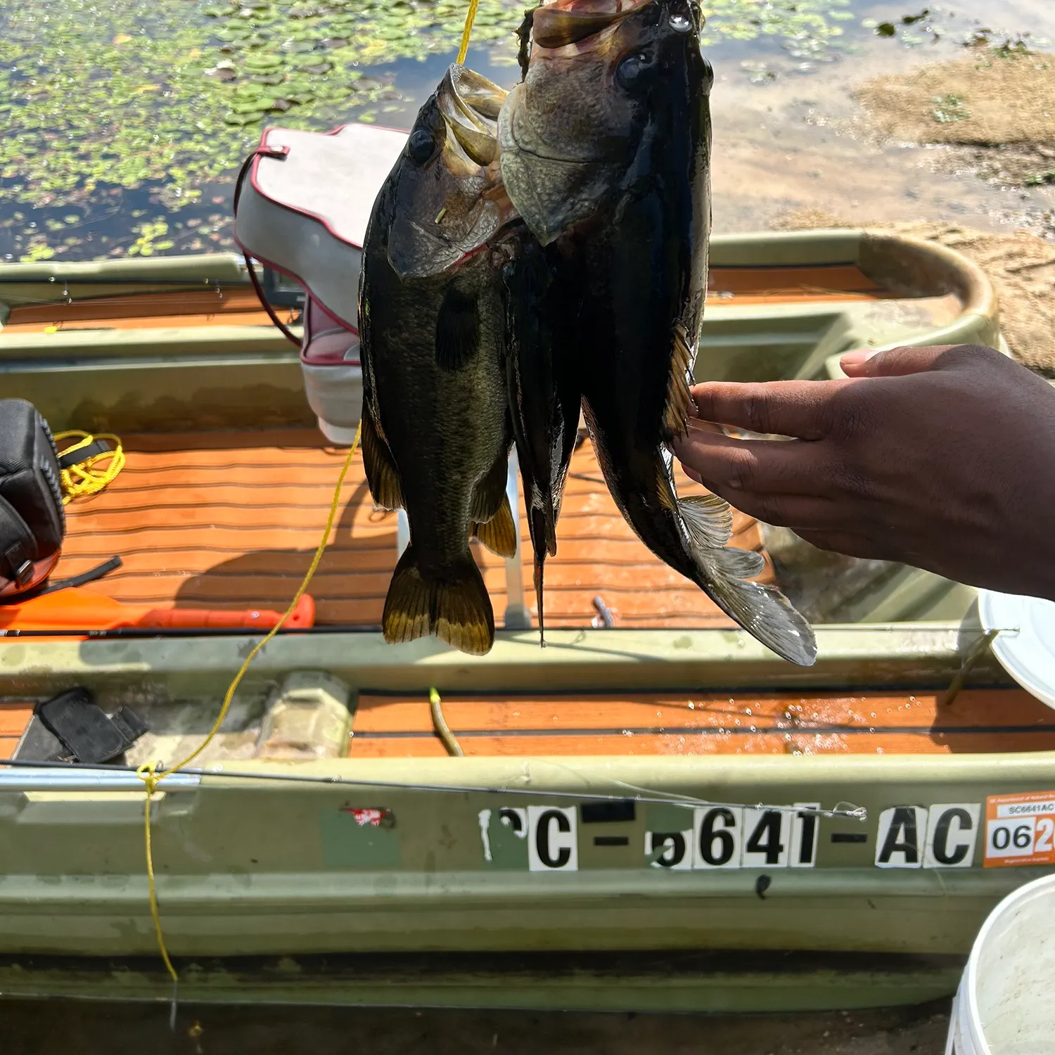 recently logged catches