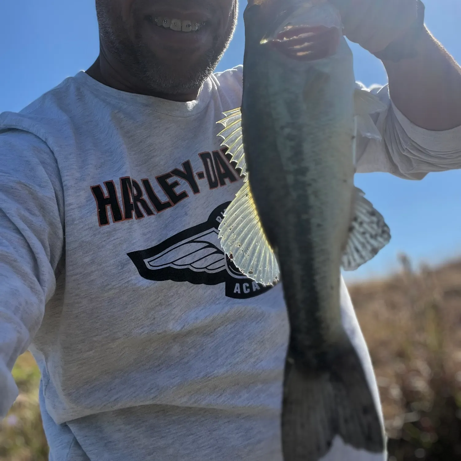 The most recent Alabama bass catches on Fishbrain