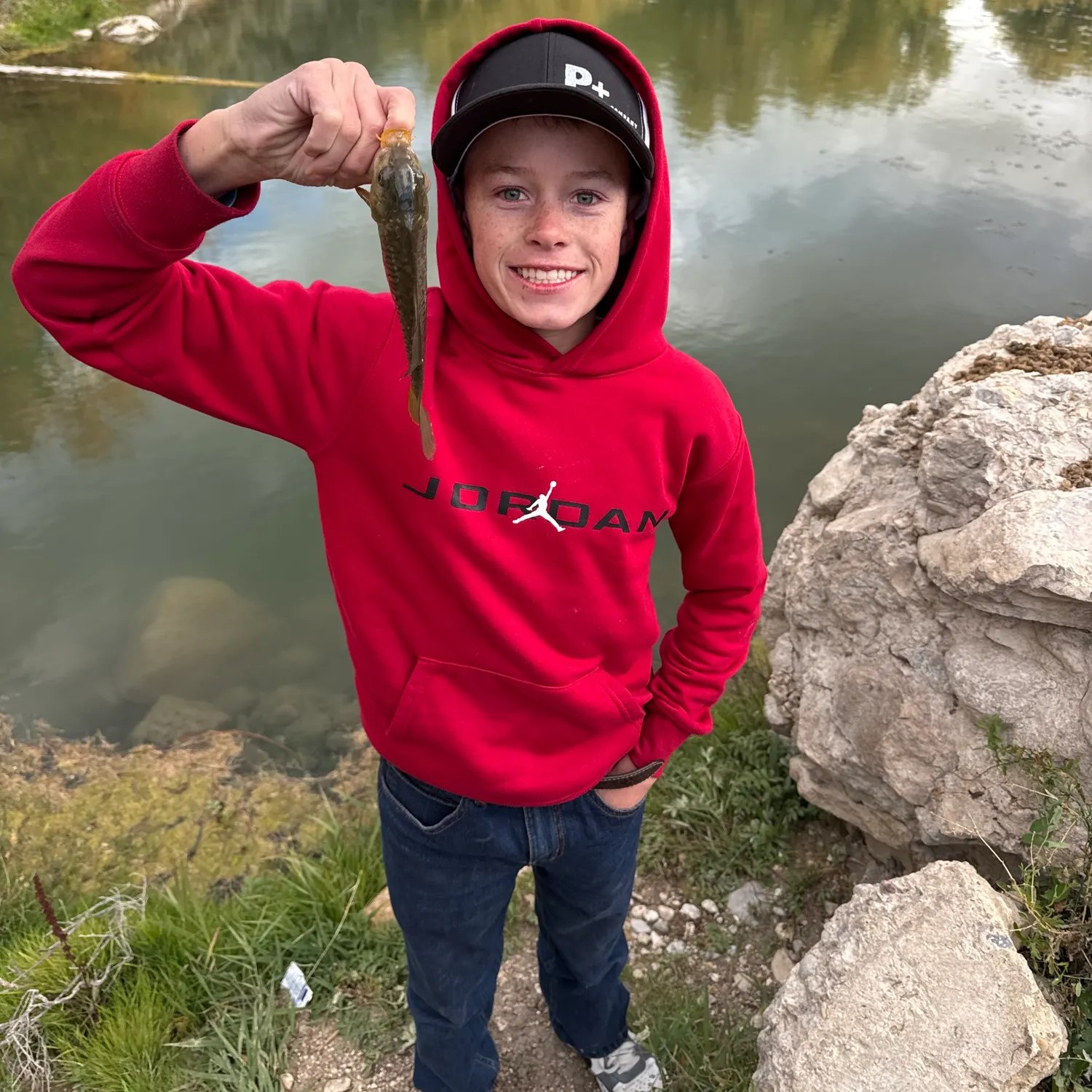Mirror carp caught on Fishbrain
