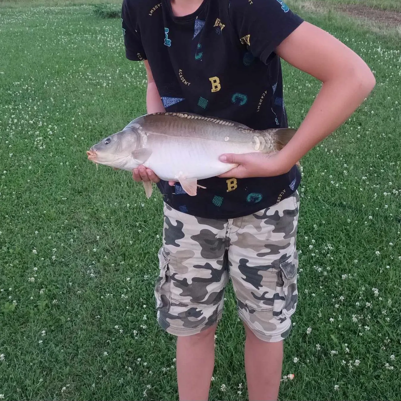 Mirror carp caught on Fishbrain