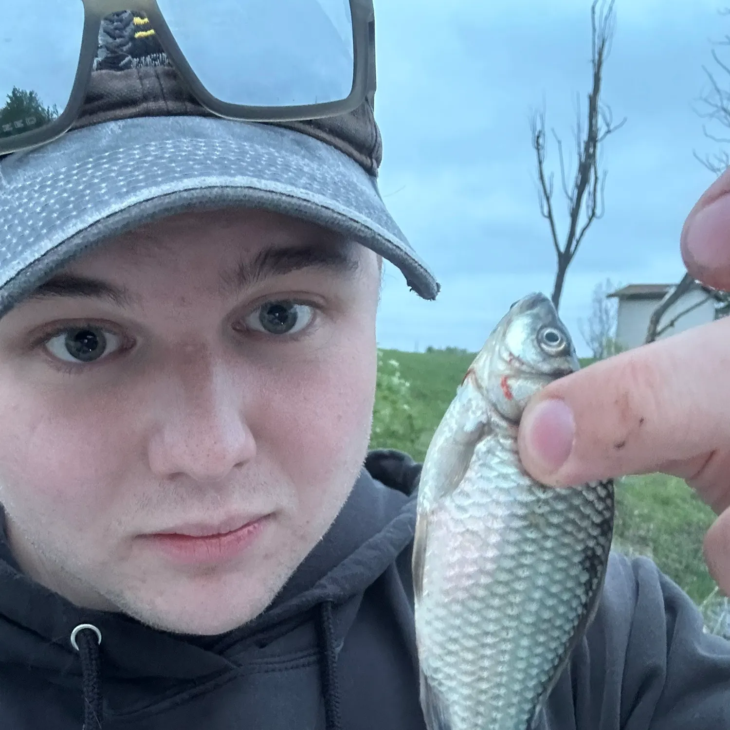 The most recent Prussian carp catches on Fishbrain