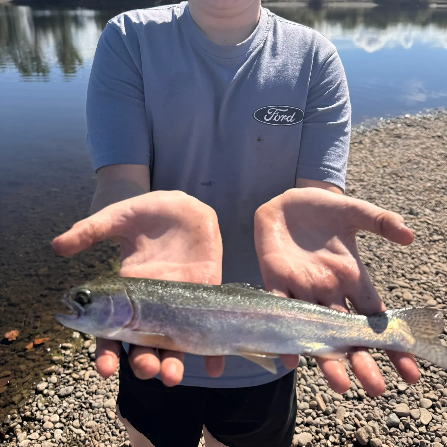 Rainbow trout caught on Fishbrain