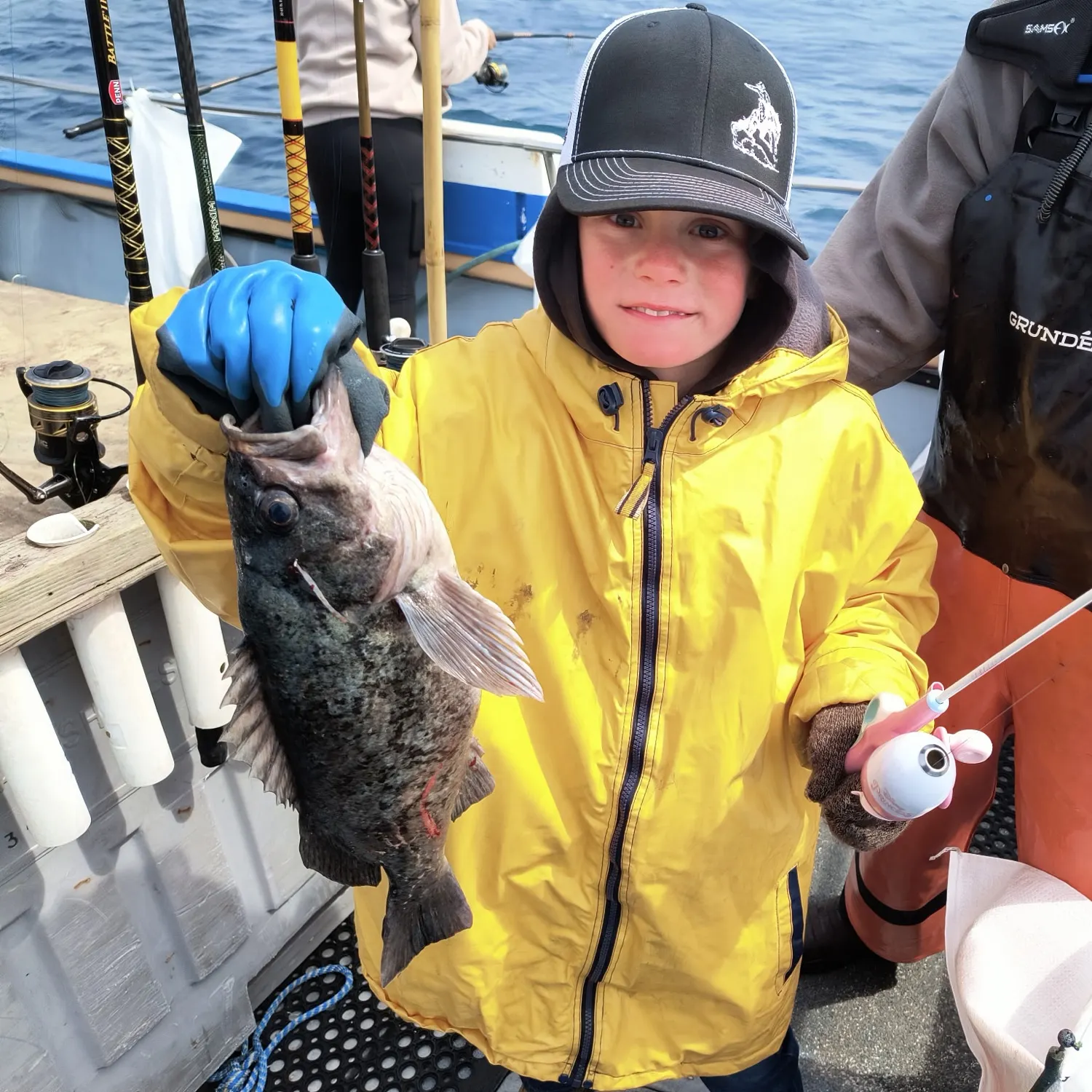 The most recent Black sea bass catches on Fishbrain