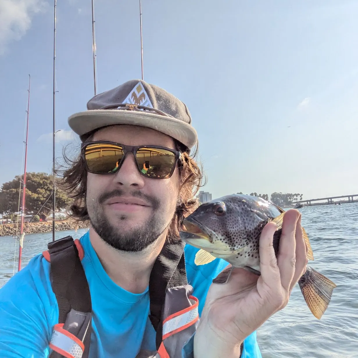 Spotted sand bass caught on Fishbrain