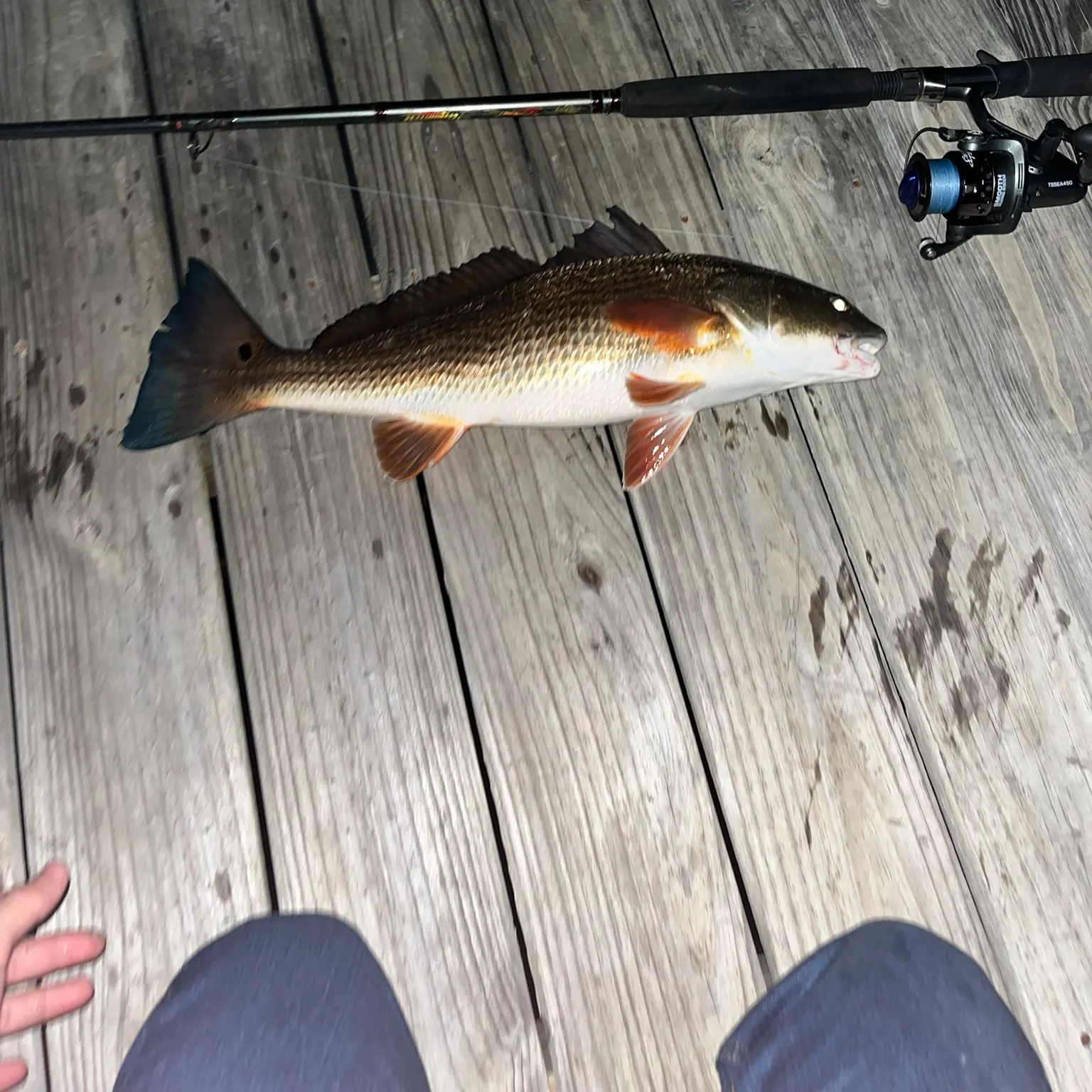 catch