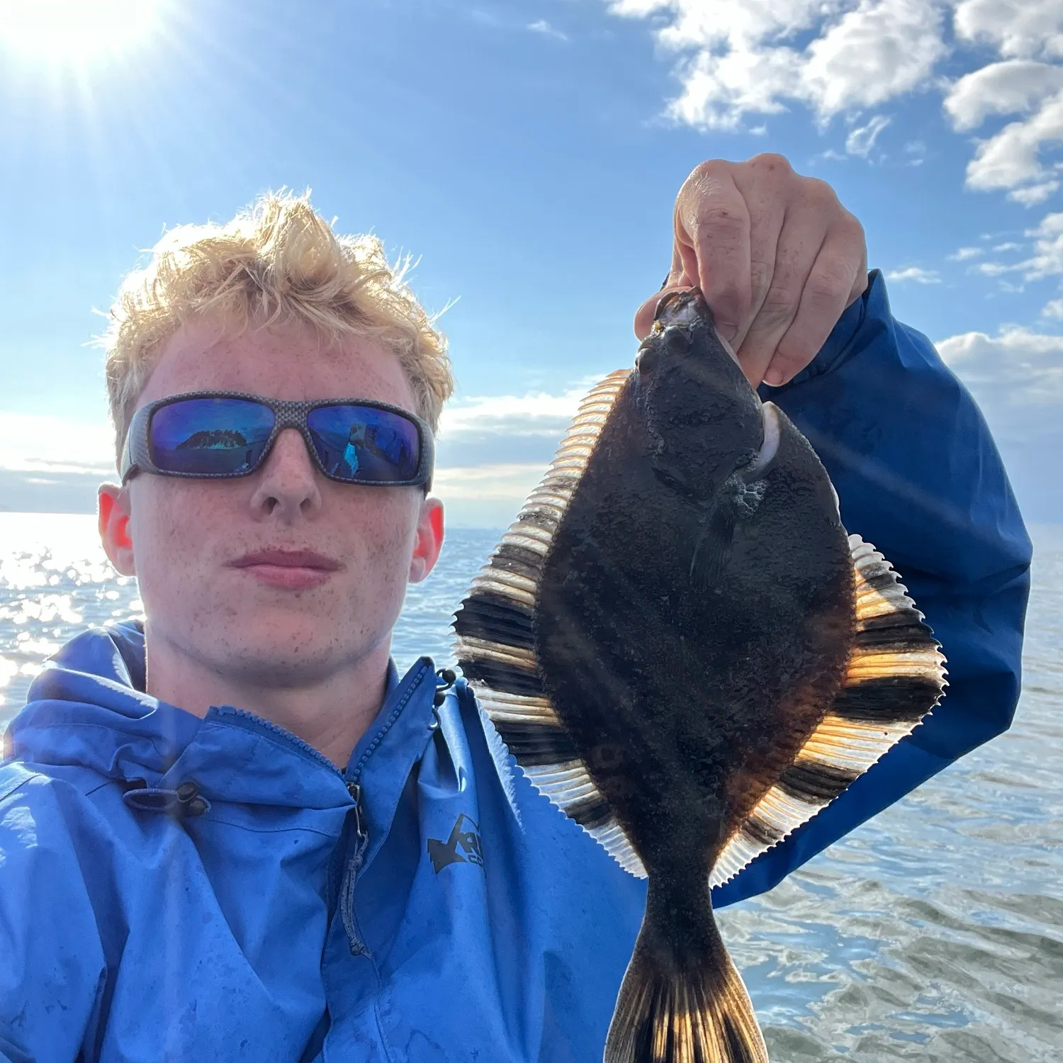 The most recent Starry flounder catches on Fishbrain