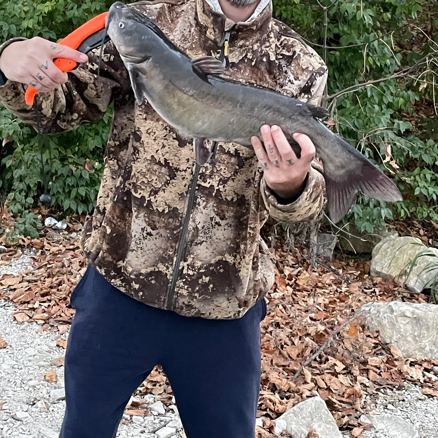 Channel catfish caught on Fishbrain