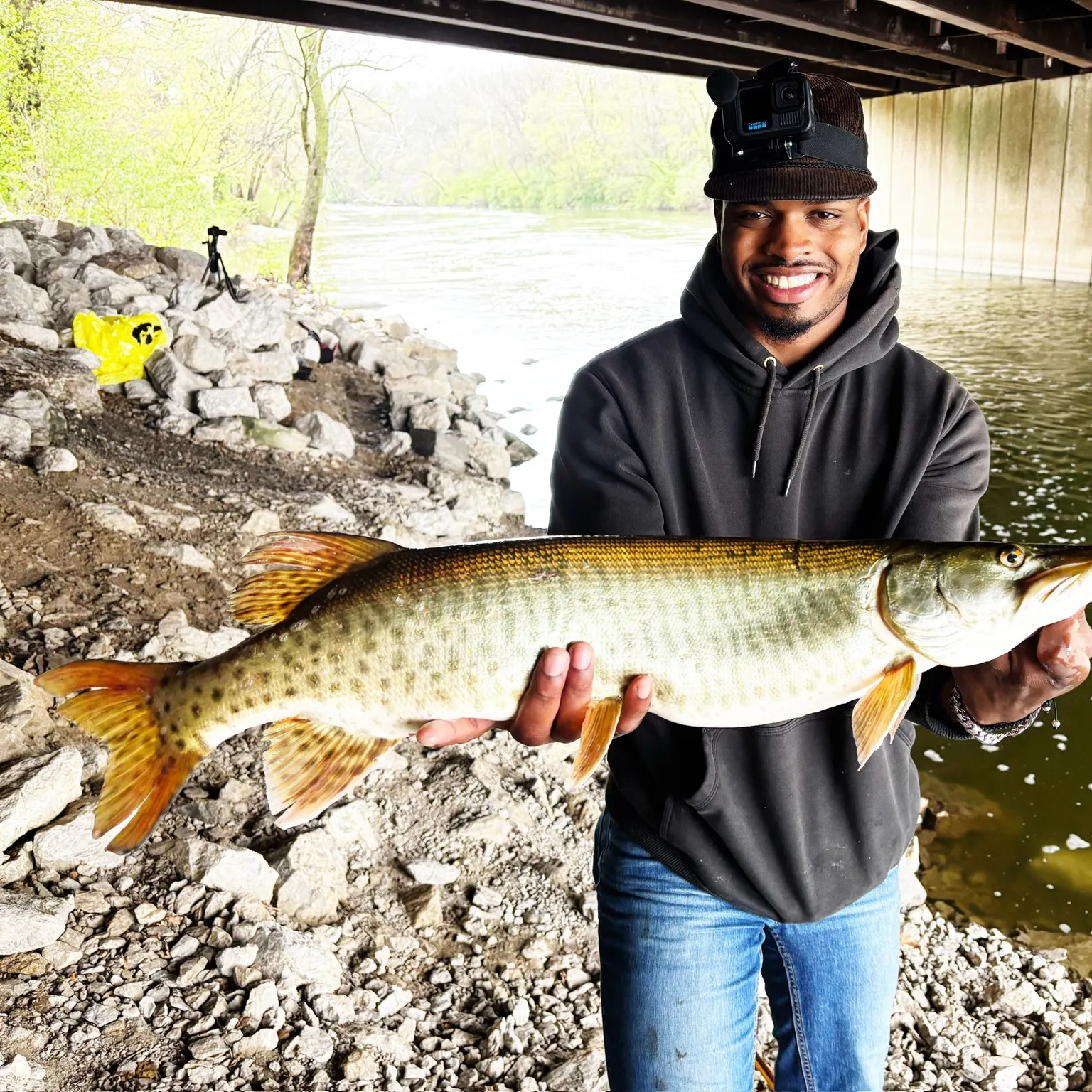 The most recent Muskellunge catches on Fishbrain
