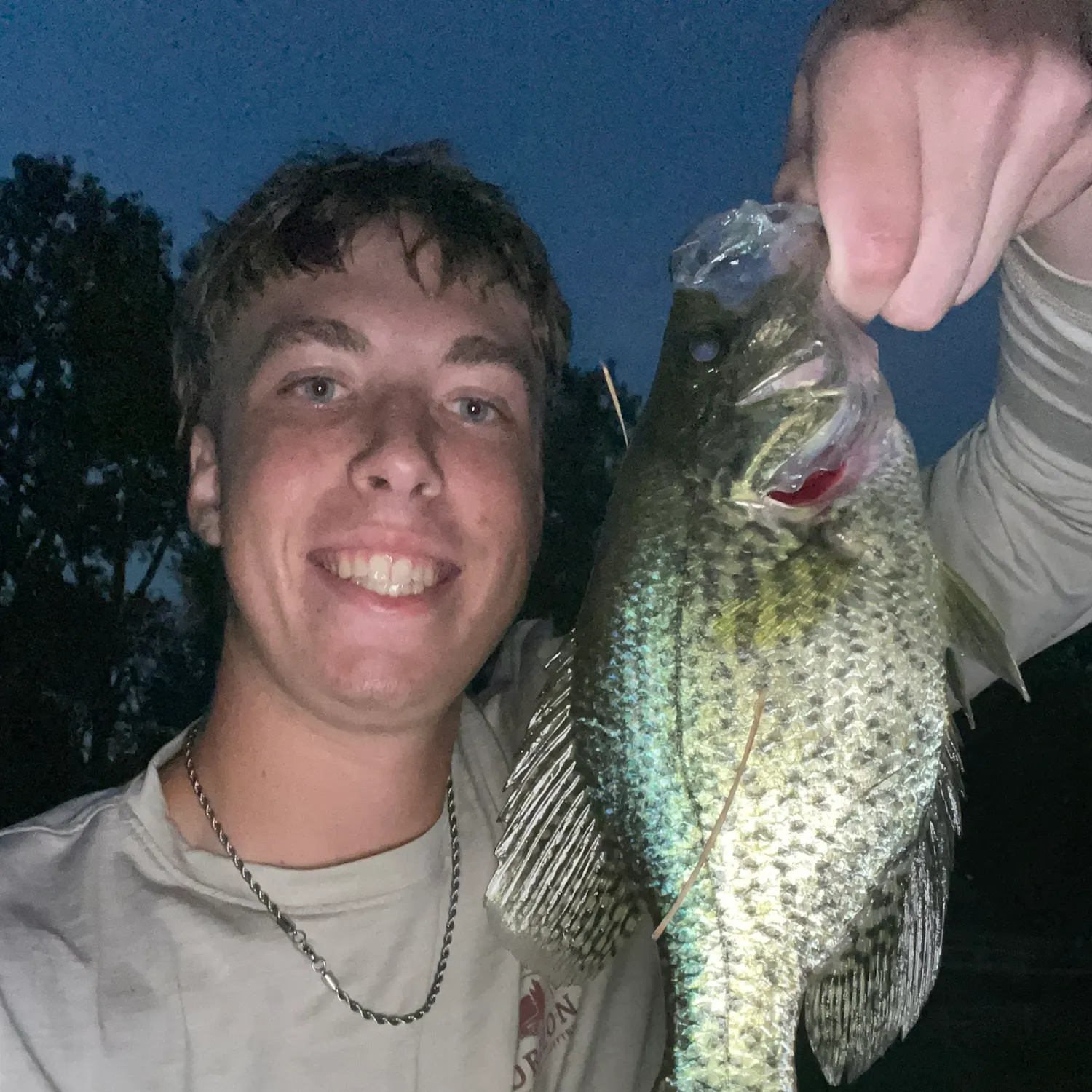 Black crappie caught on Fishbrain