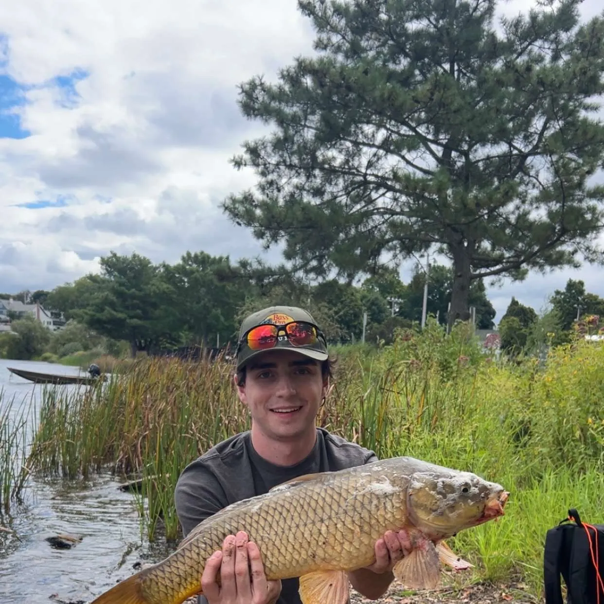 Common carp caught on Fishbrain