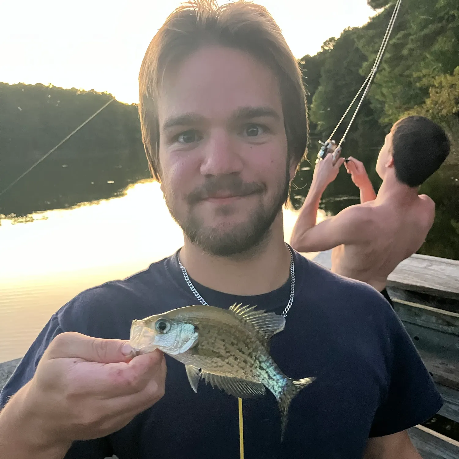 Black crappie caught on Fishbrain
