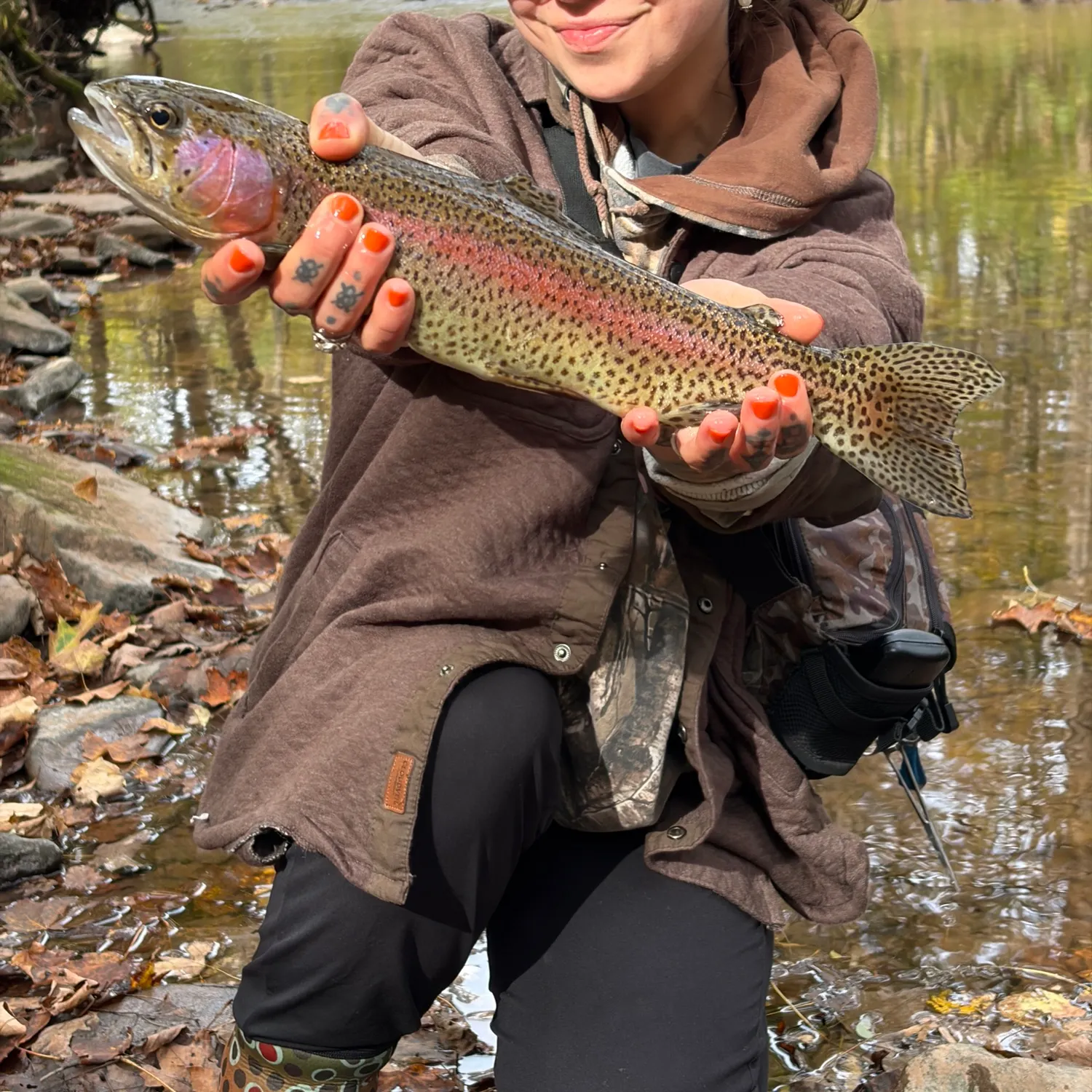 Rainbow trout caught on Fishbrain