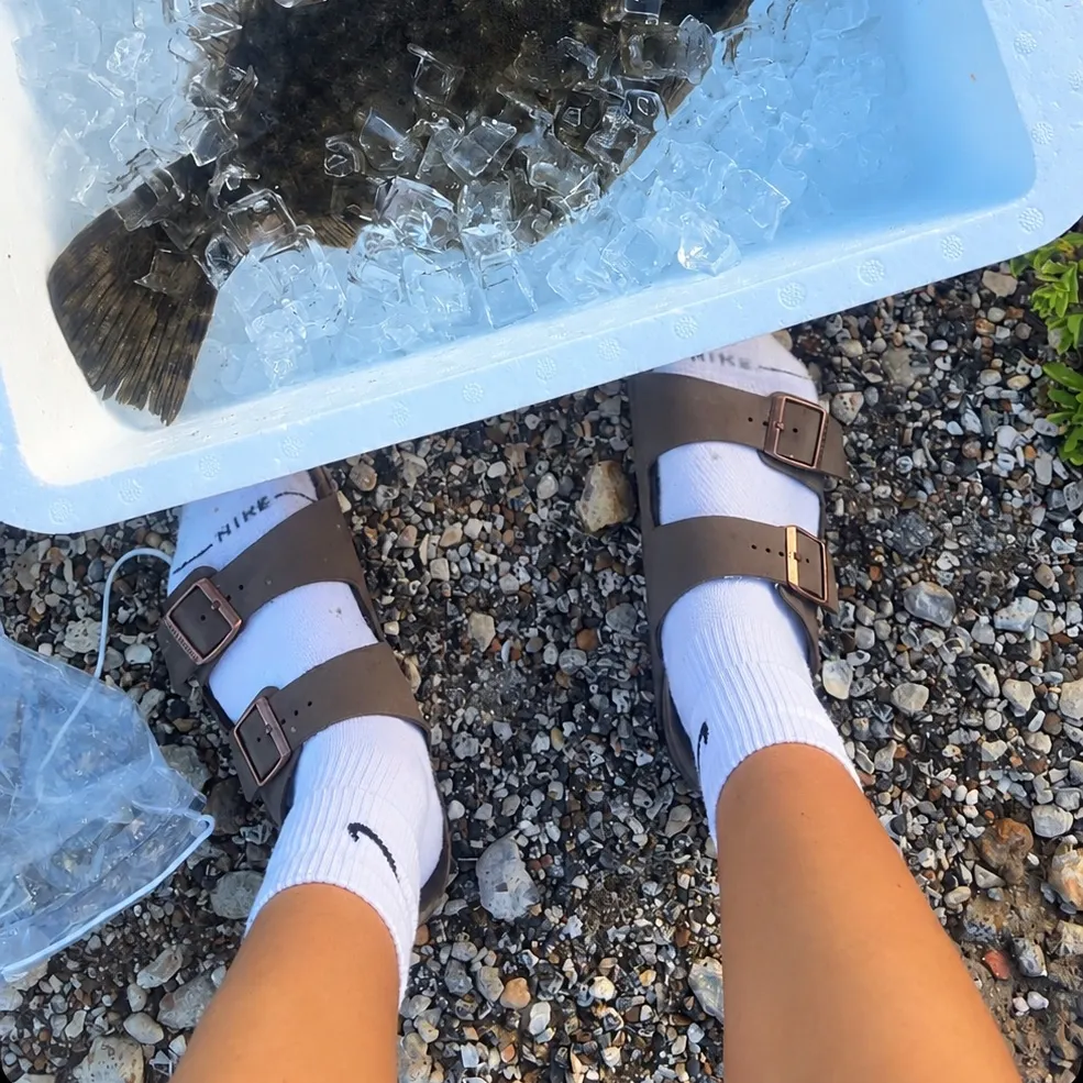 The most recent Summer flounder catches on Fishbrain