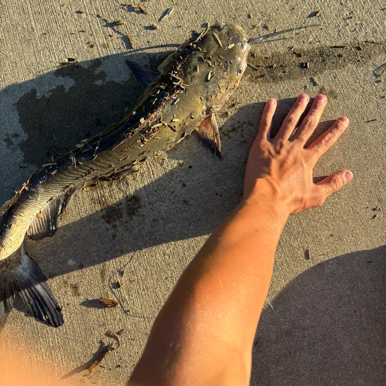 catch