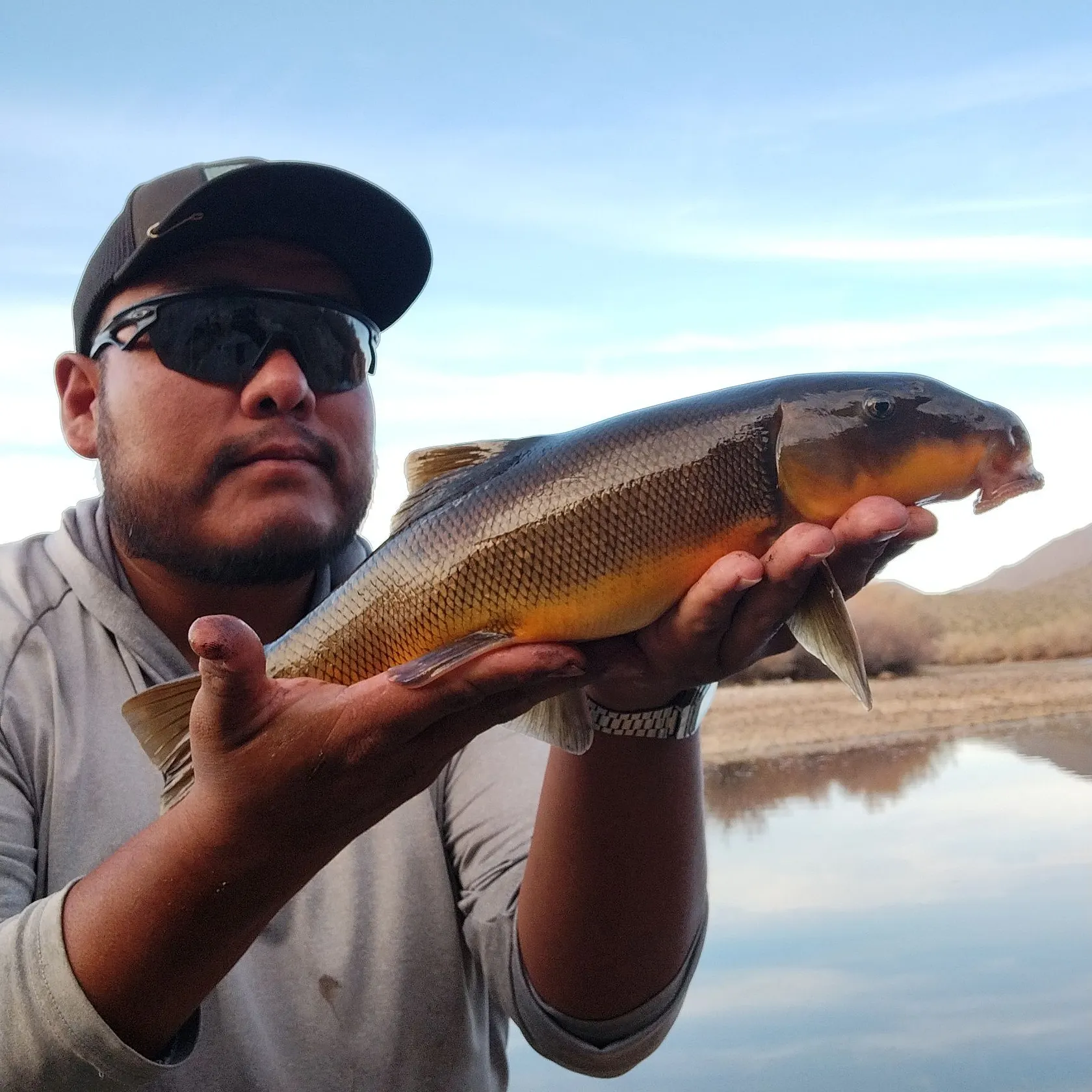 The most recent Sonora sucker catches on Fishbrain