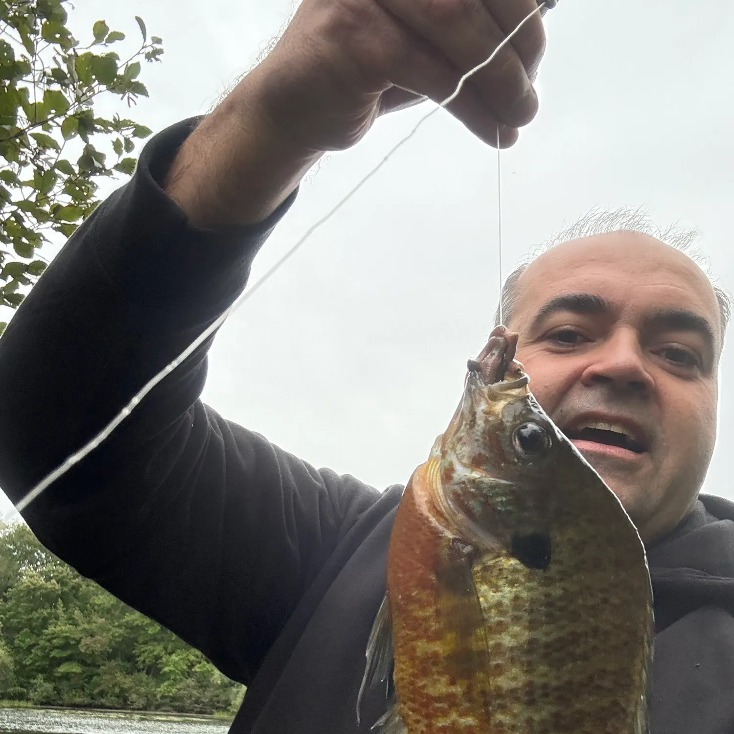 Pumpkinseed caught on Fishbrain