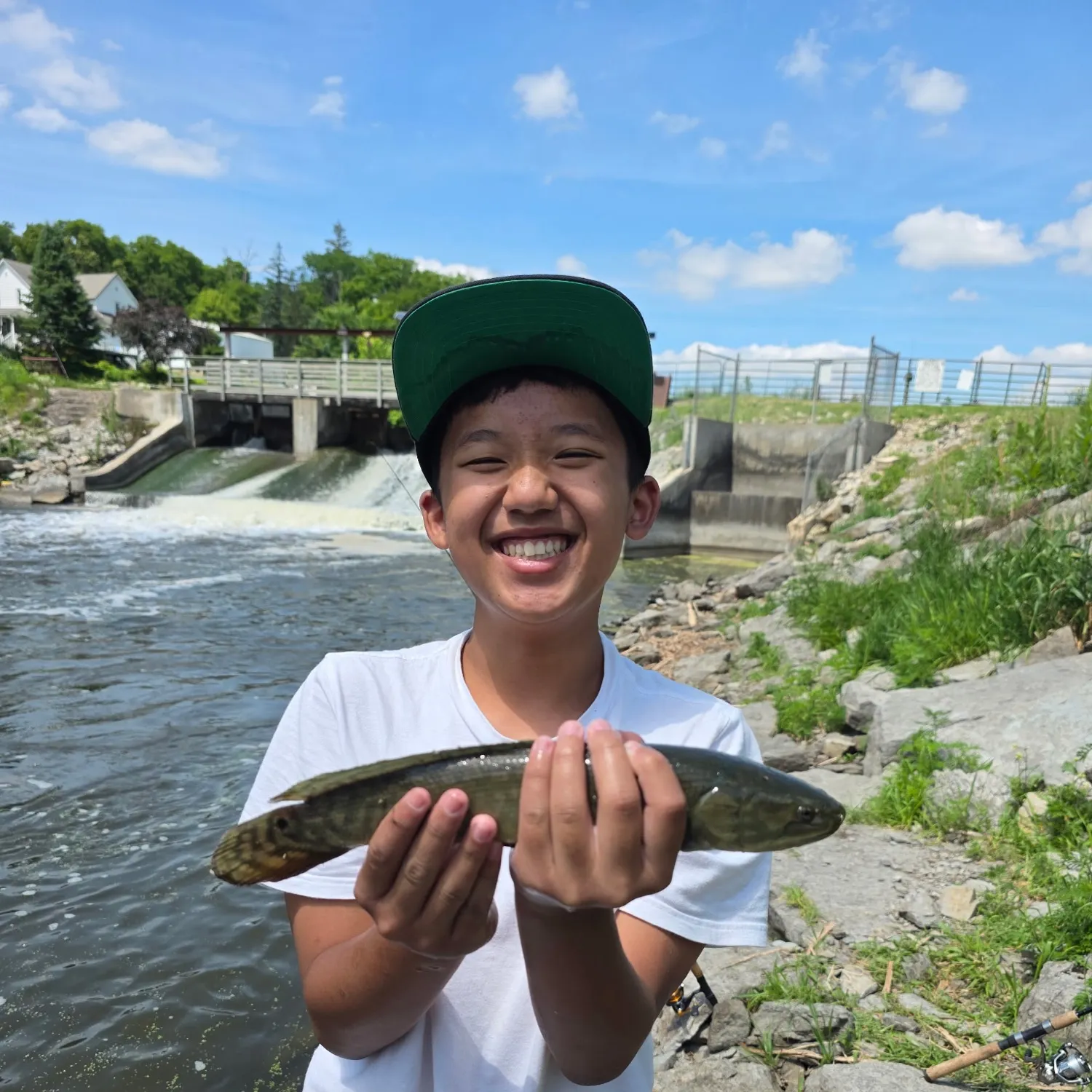 Eyetail bowfin caught on Fishbrain