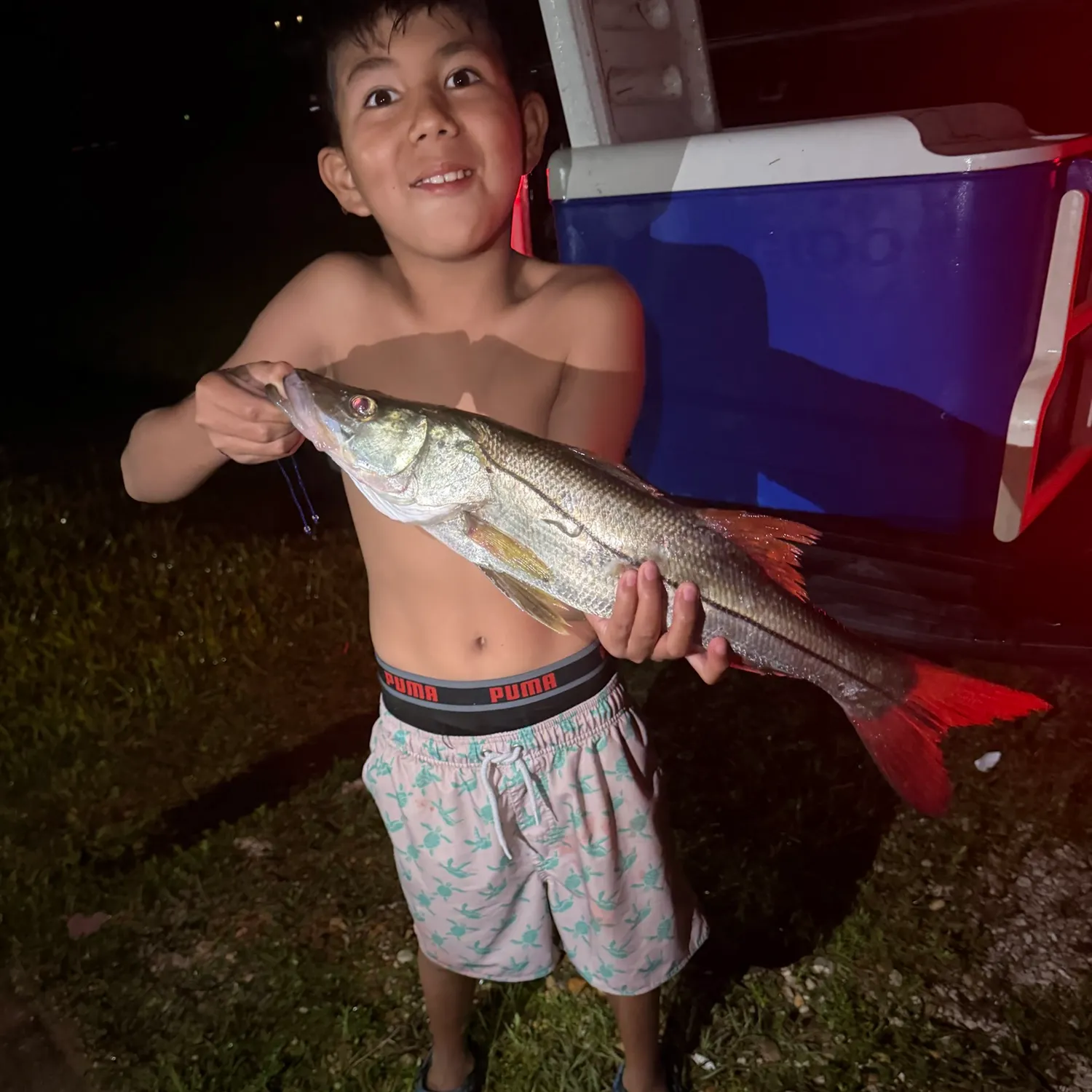 The most recent Fat snook catches on Fishbrain