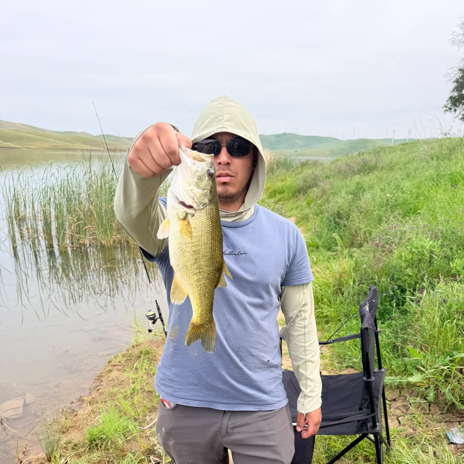 The most recent Rainbow trout catches on Fishbrain