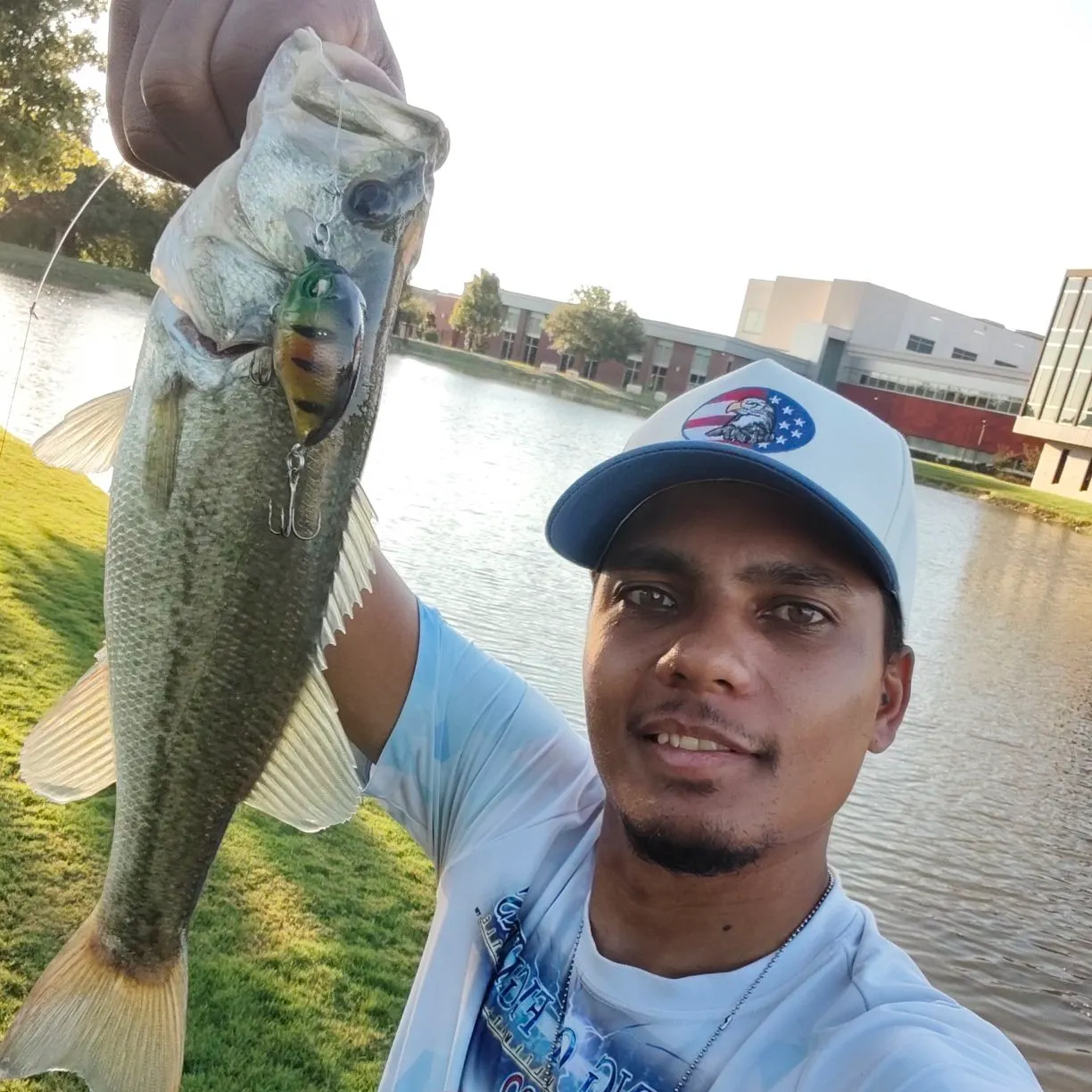 Largemouth bass caught on Fishbrain