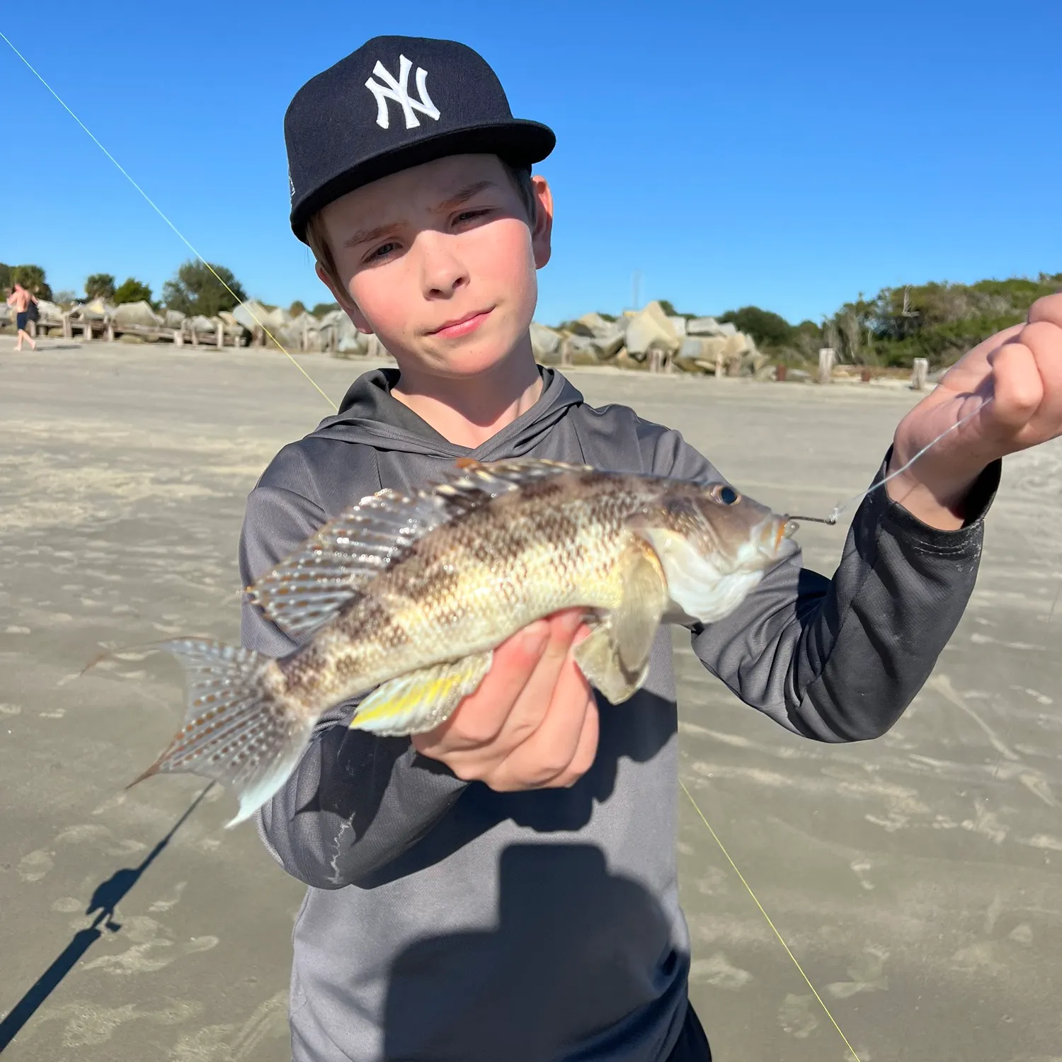 The most recent Rock sea bass catches on Fishbrain