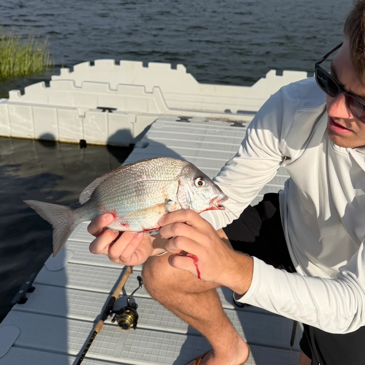 Scup caught on Fishbrain