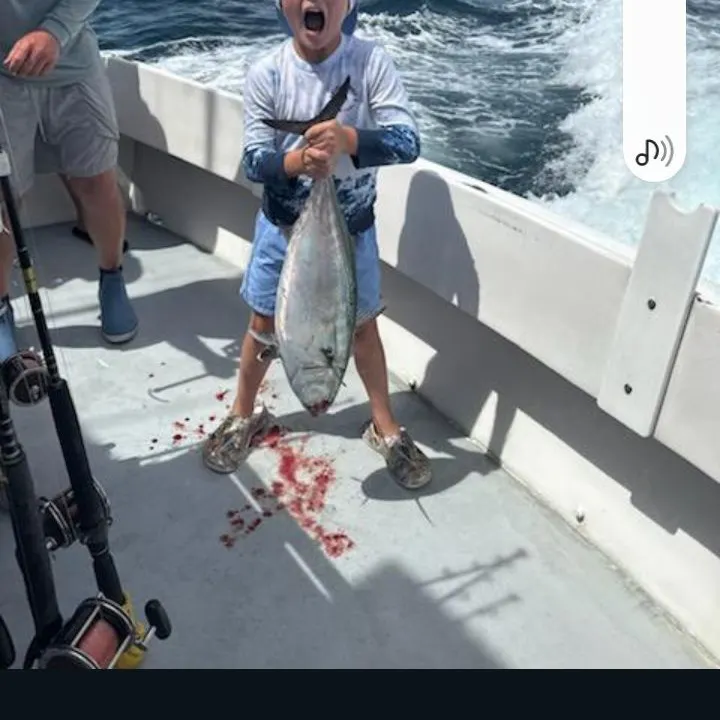 The most recent Atlantic bonito catches on Fishbrain