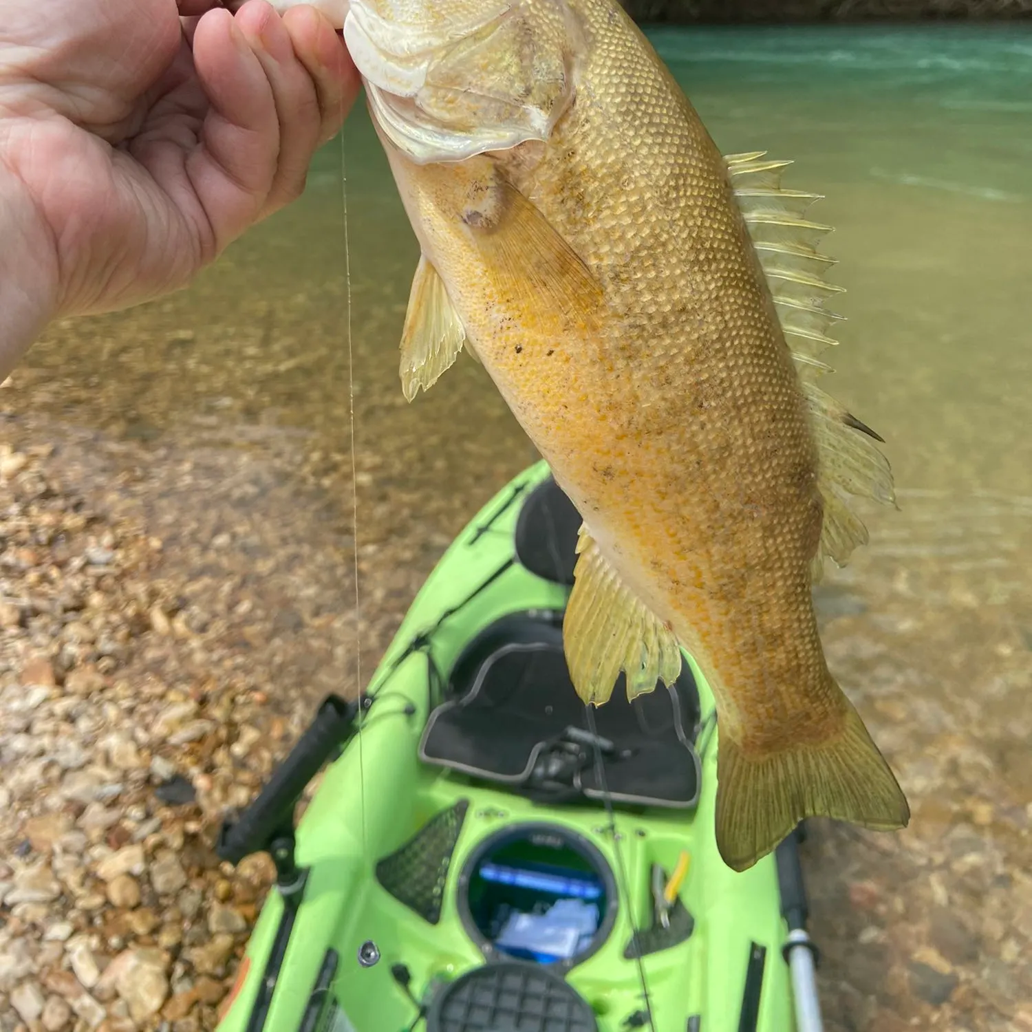 angler catch