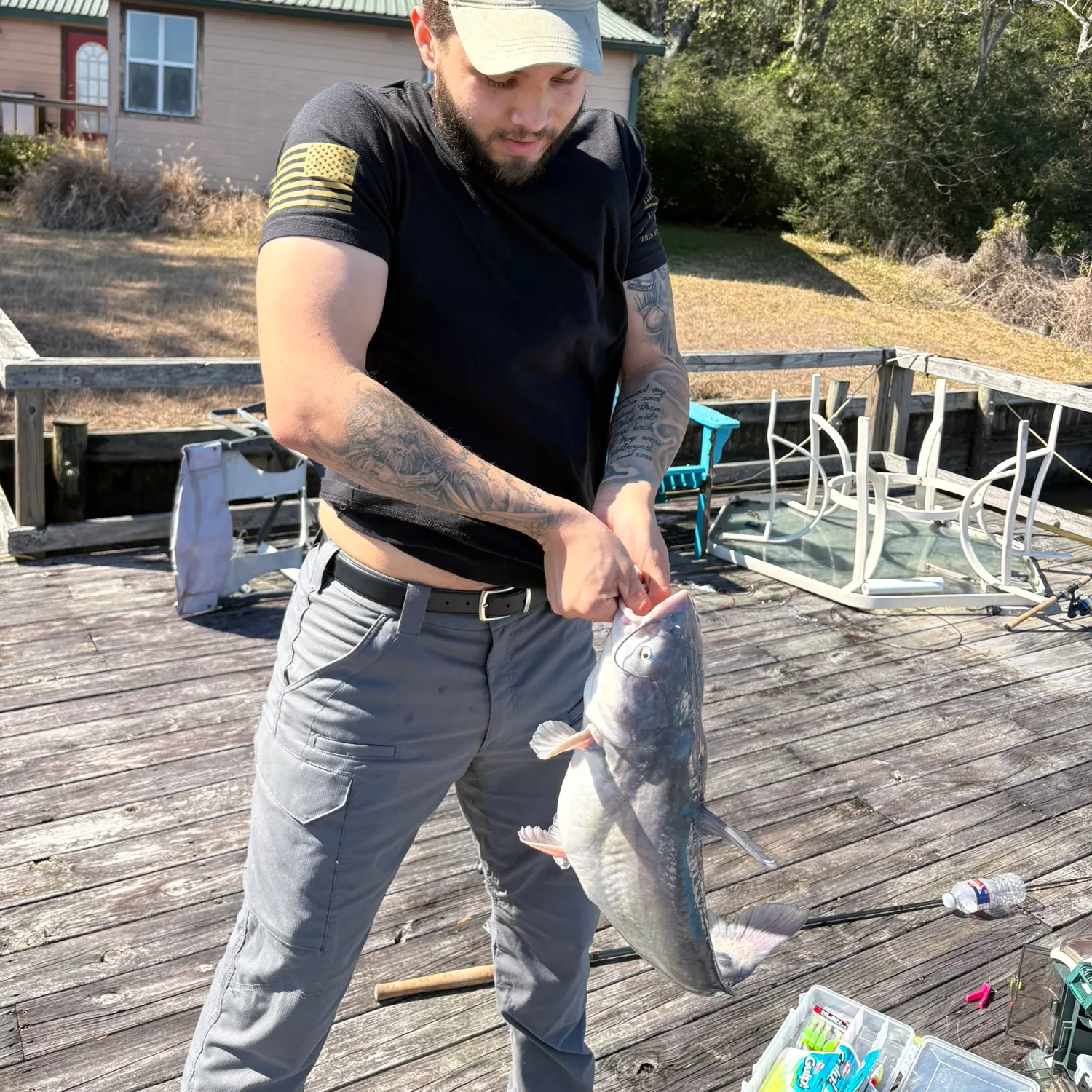 The most recent Blue catfish catches on Fishbrain
