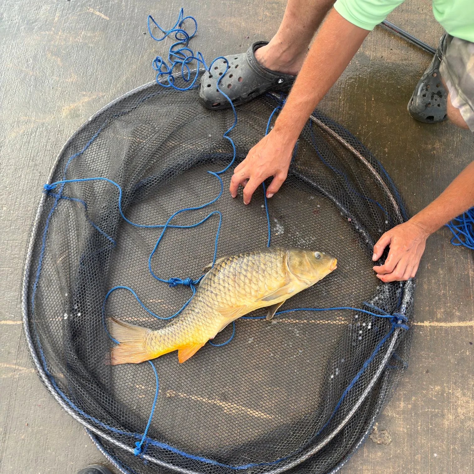 catch