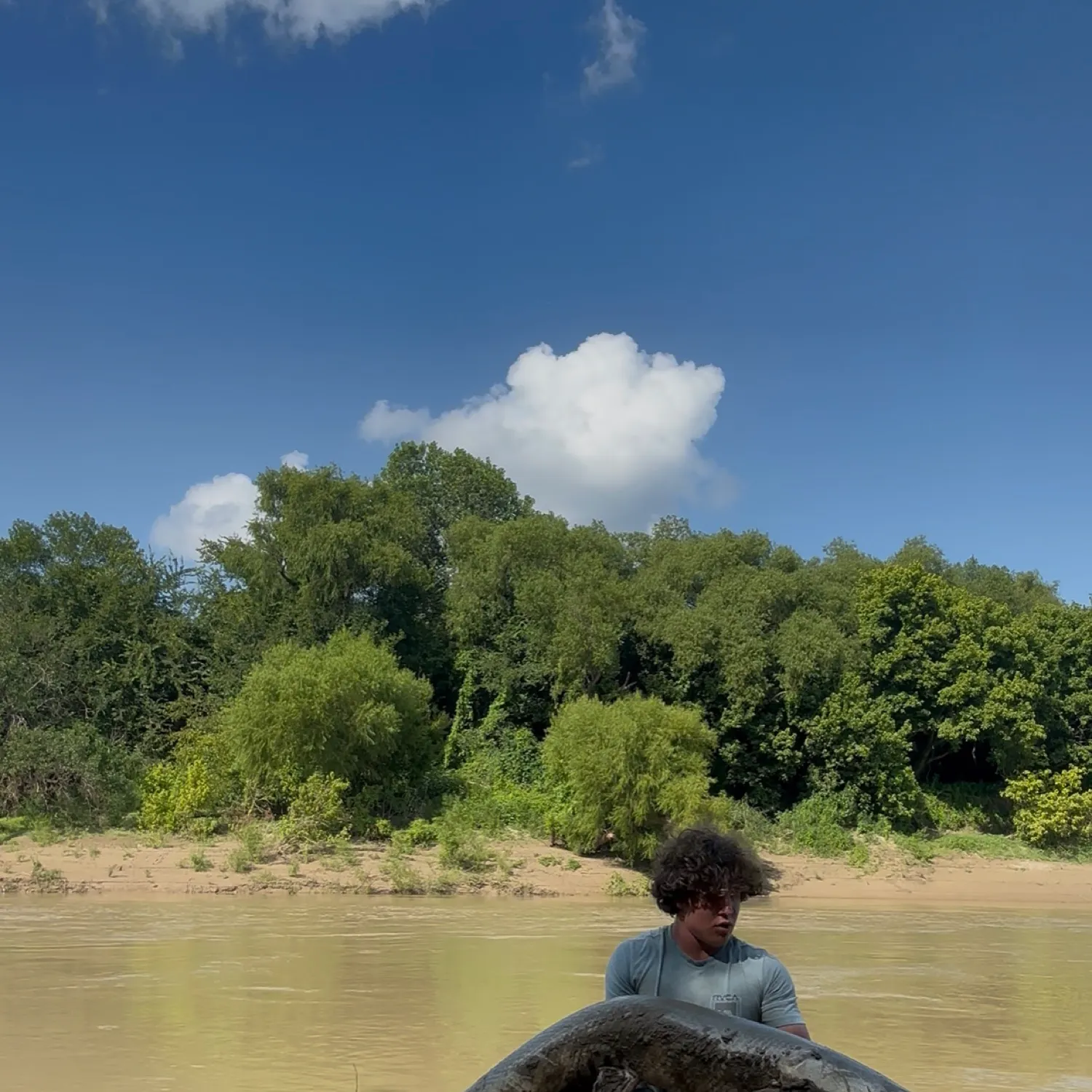 The most recent Alligator gar catches on Fishbrain