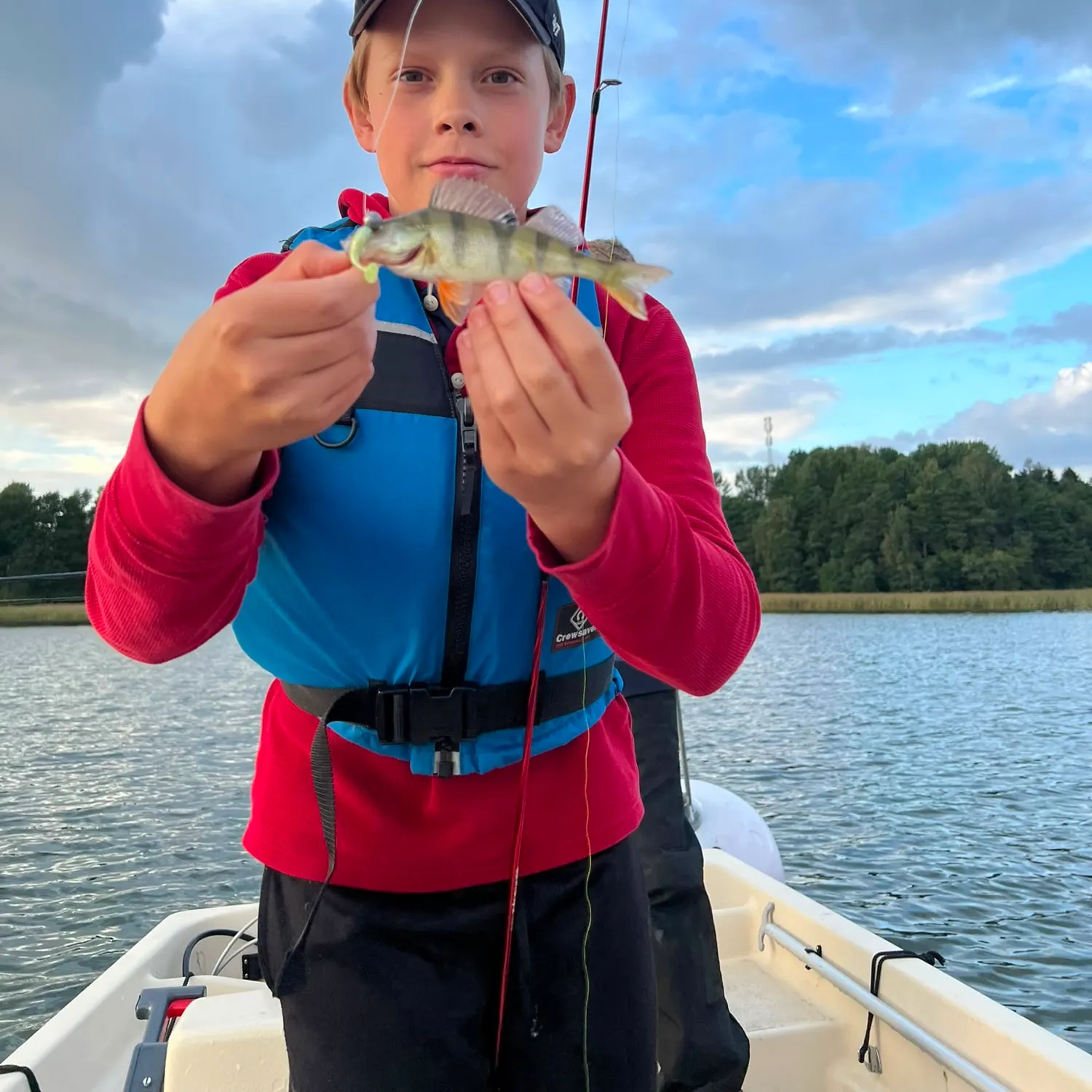 European perch caught on Fishbrain