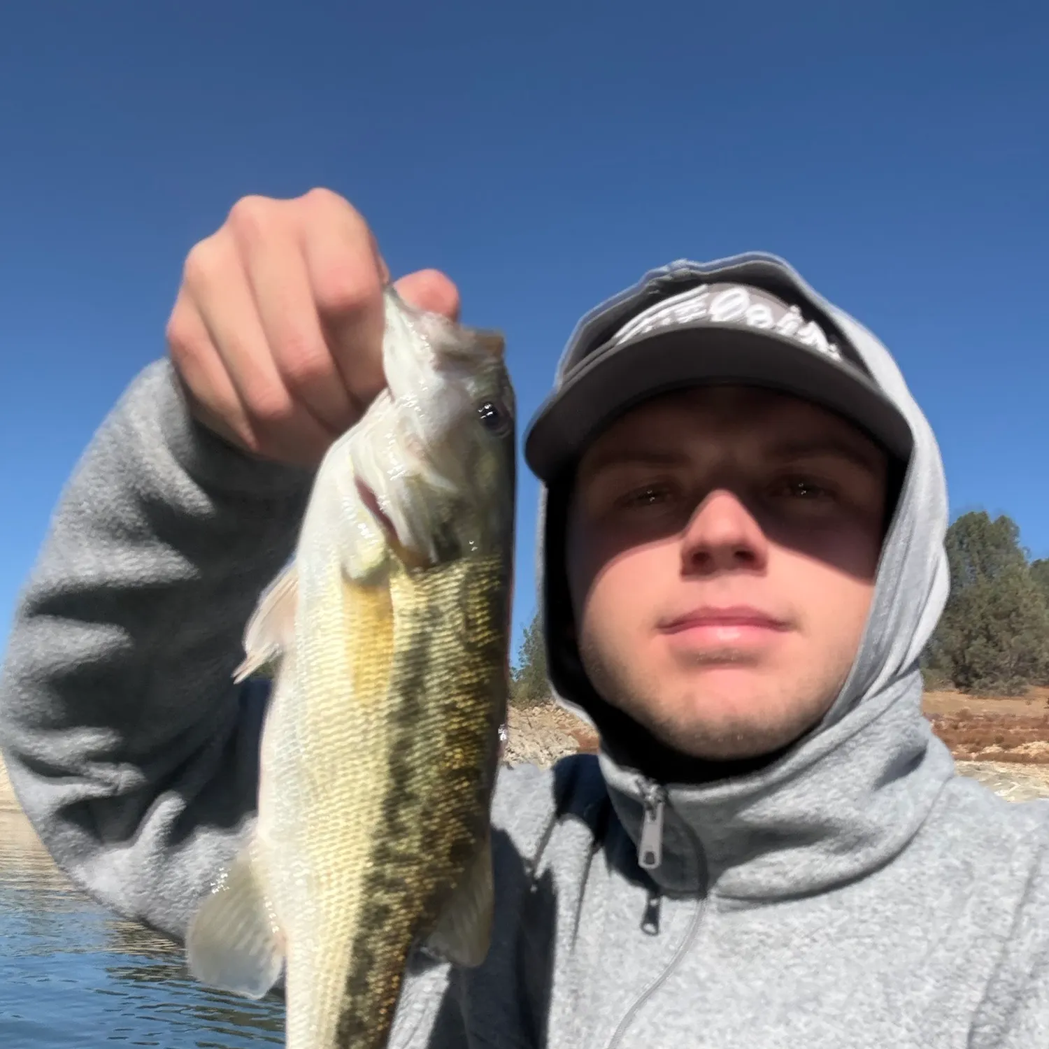 Spotted bass caught on Fishbrain