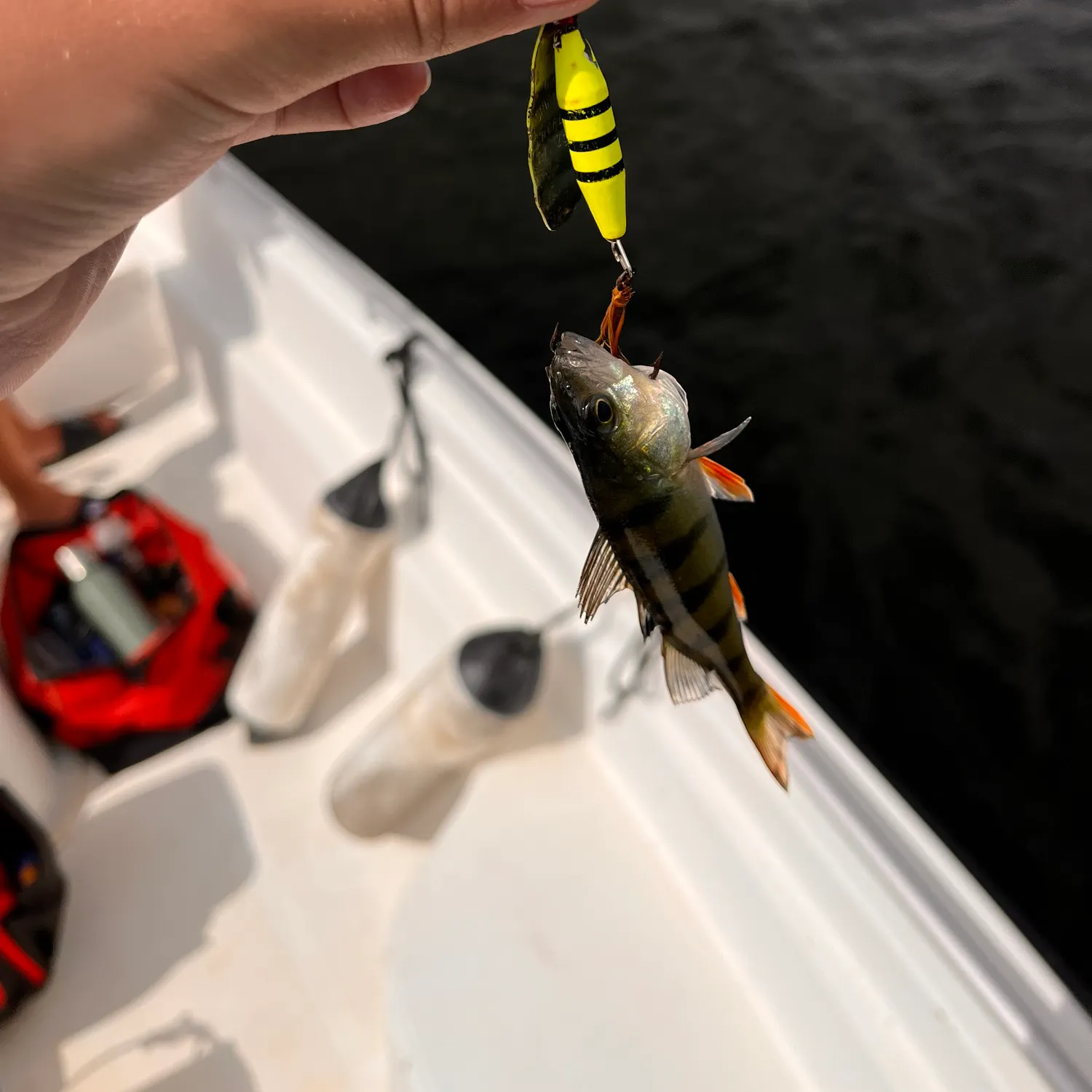 catch