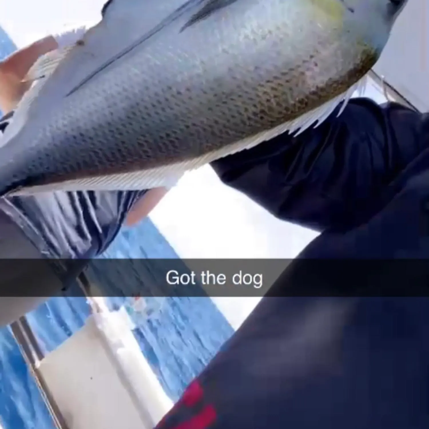 most liked catch image