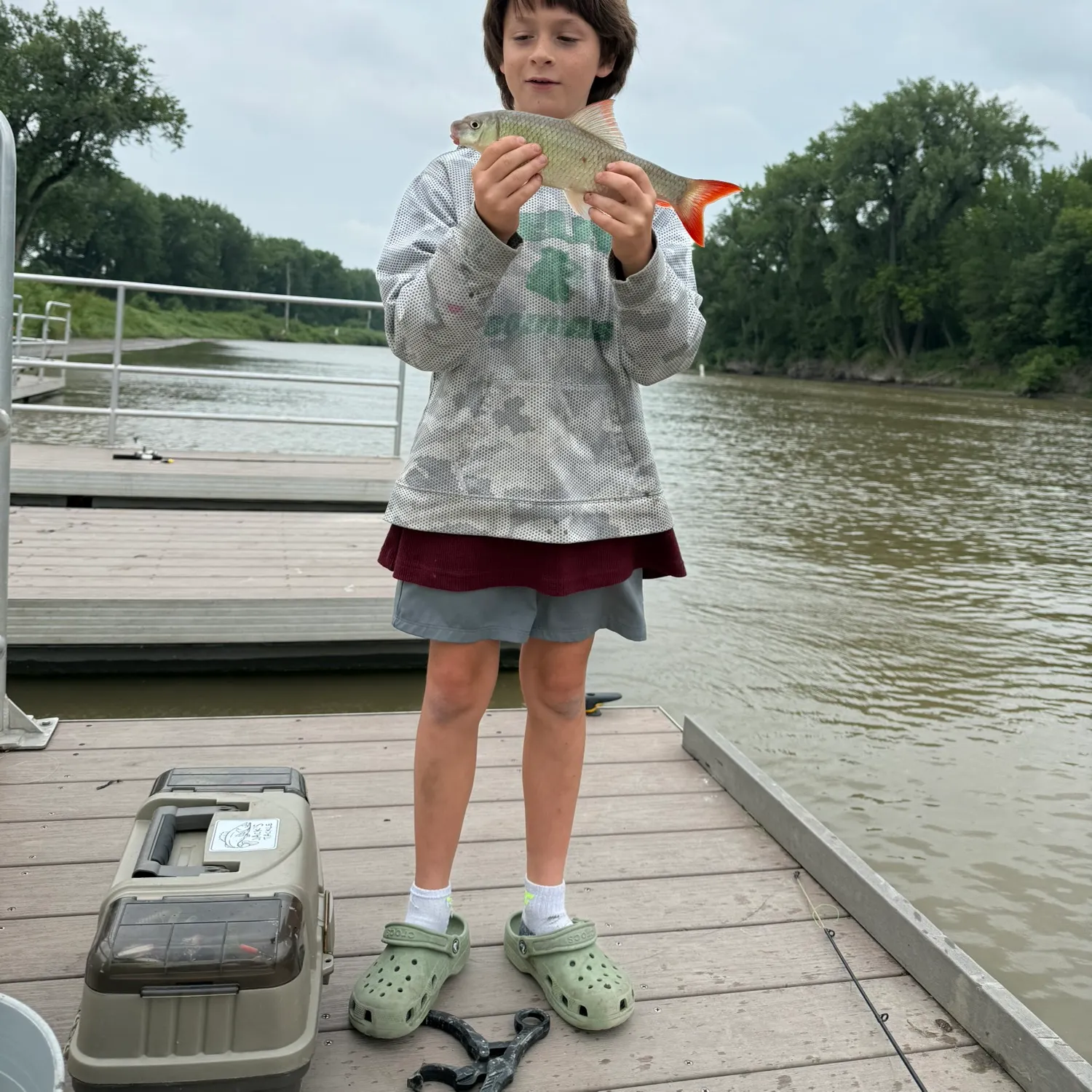 The most recent Shorthead redhorse catches on Fishbrain