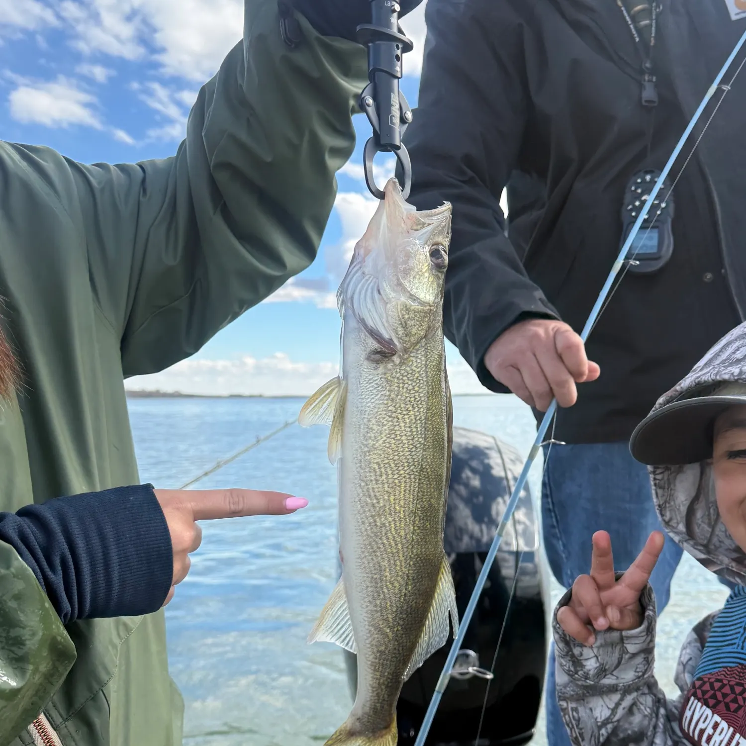 Walleye caught on Fishbrain