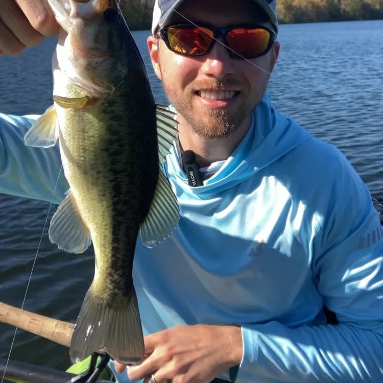 Largemouth bass caught on Fishbrain