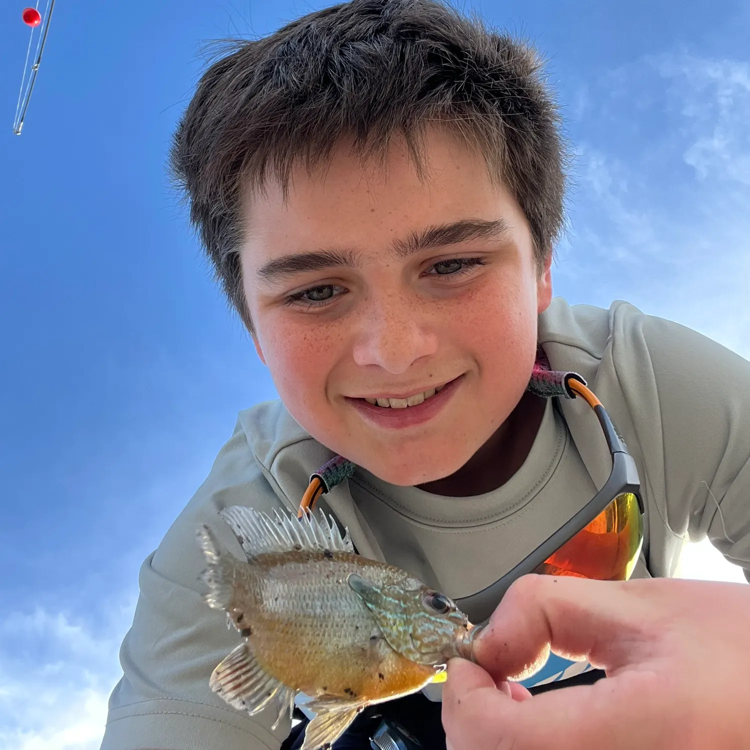 The most recent Dollar sunfish catches on Fishbrain