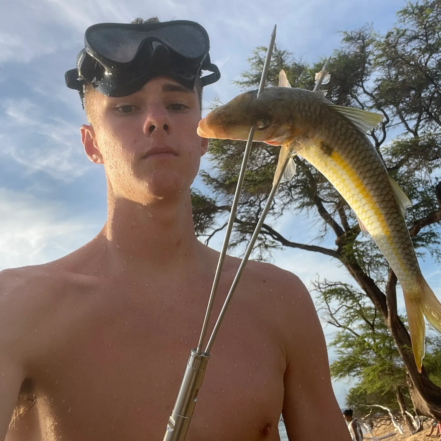 The most recent Yellowstripe goatfish catches on Fishbrain