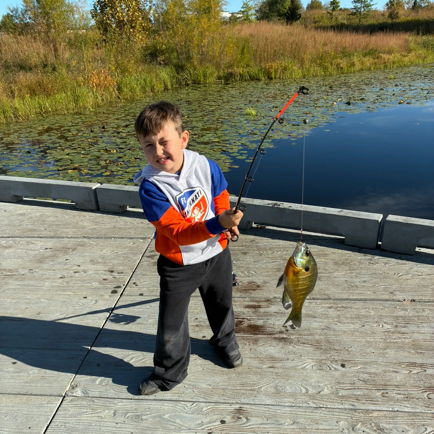 Bluegill caught on Fishbrain