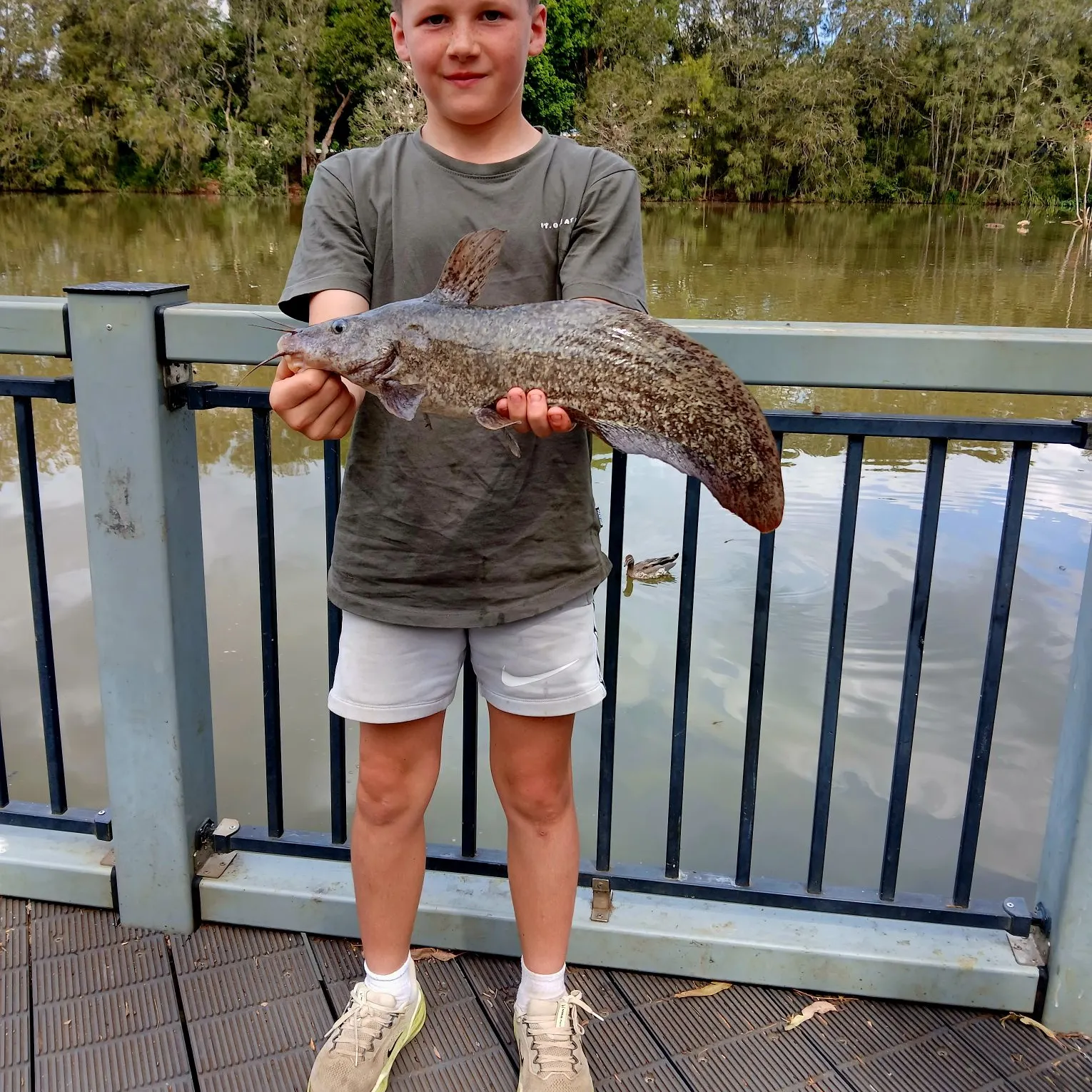 The most recent Dewfish catches on Fishbrain