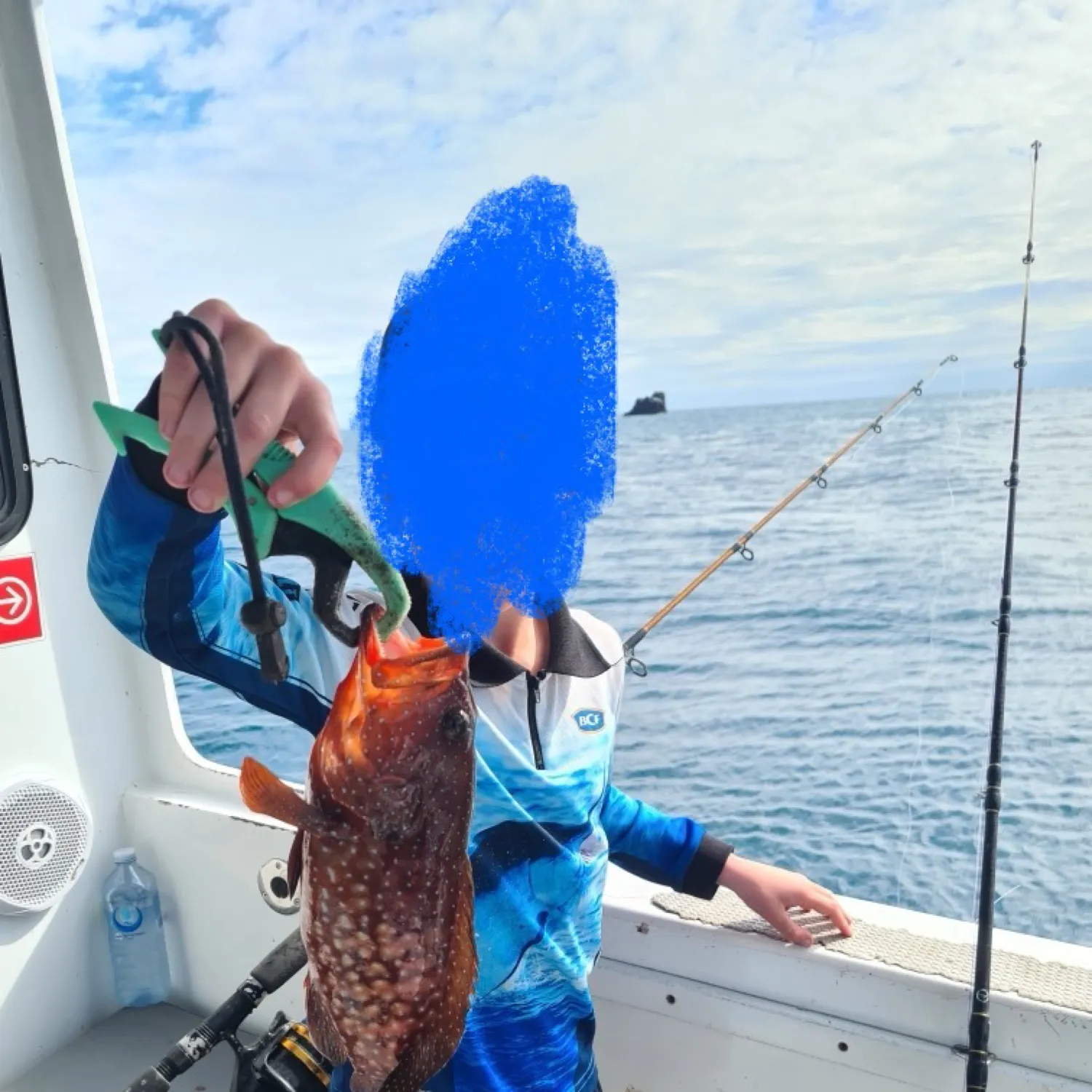 The most recent Leopard coralgrouper catches on Fishbrain