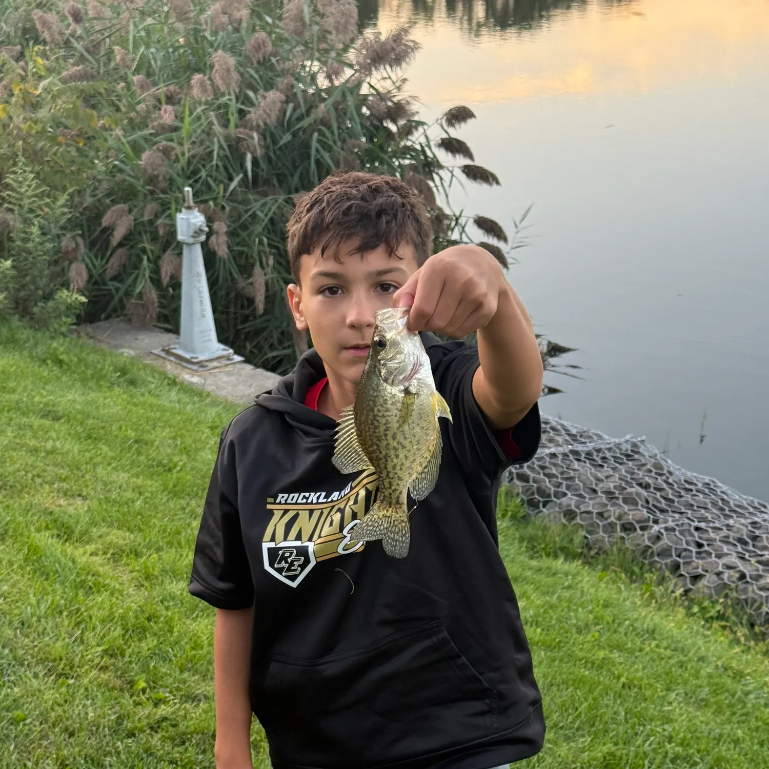 Black crappie caught on Fishbrain