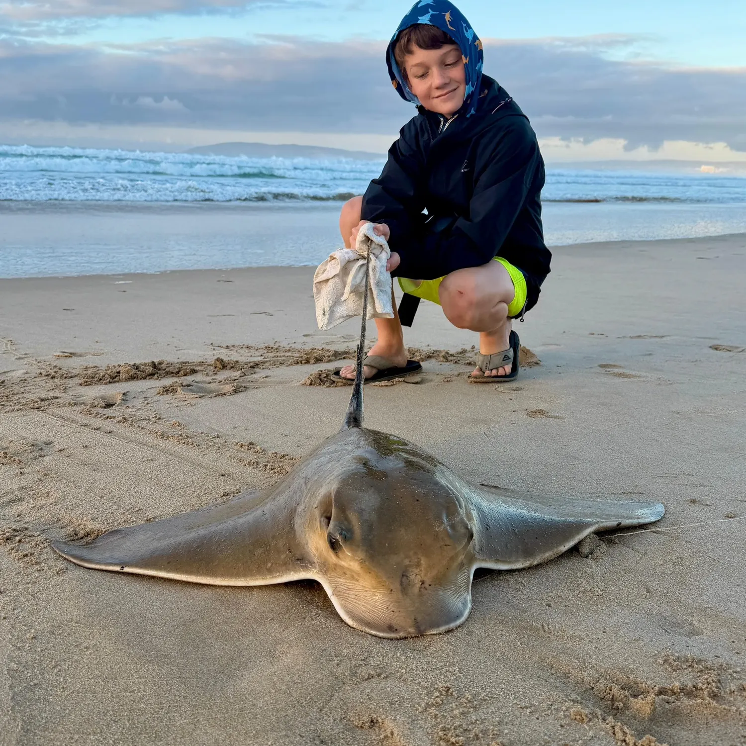 The most recent Common eagle ray catches on Fishbrain