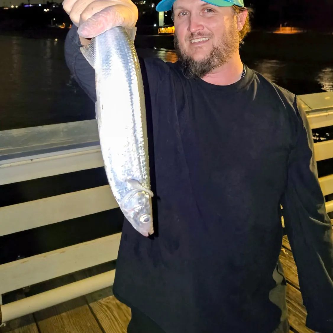 The most recent Surf smelt catches on Fishbrain