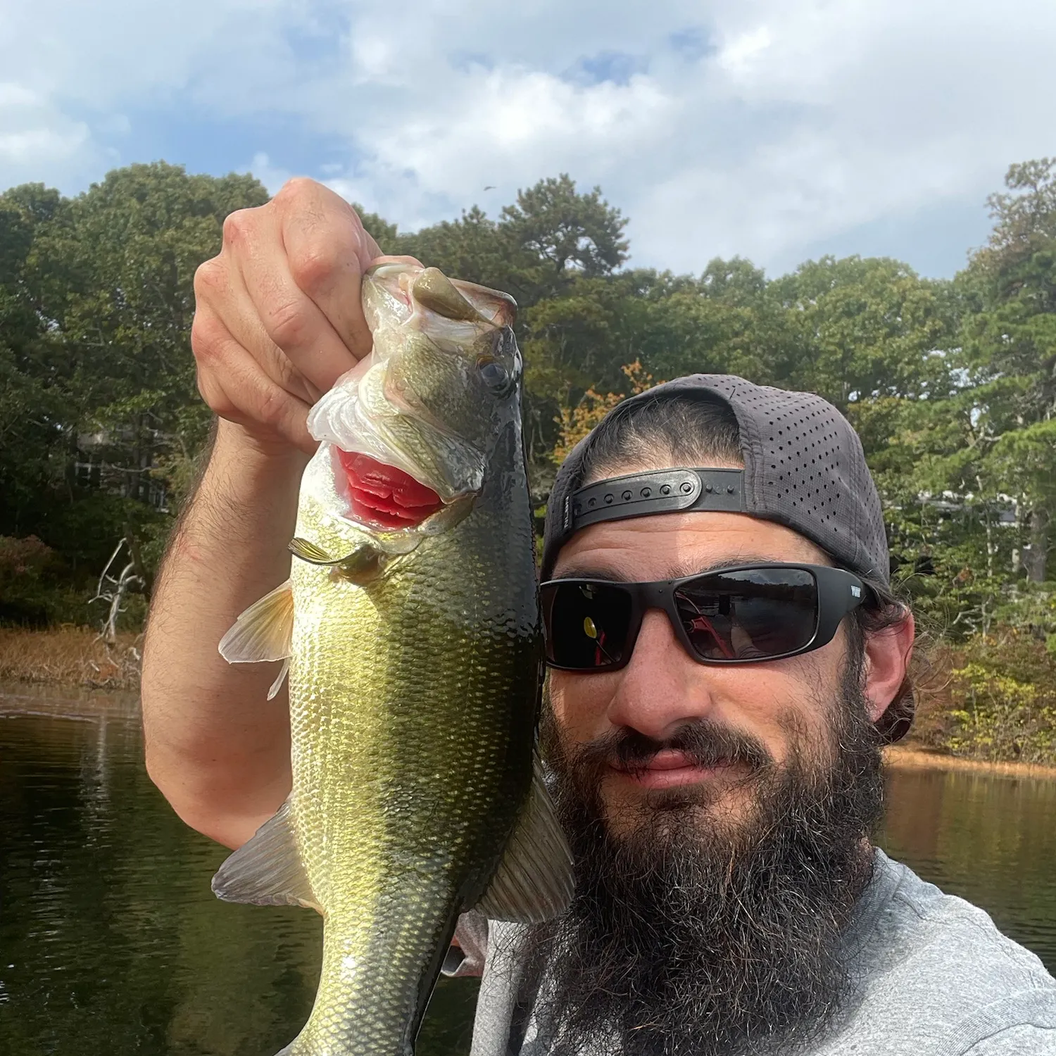 Largemouth bass caught on Fishbrain